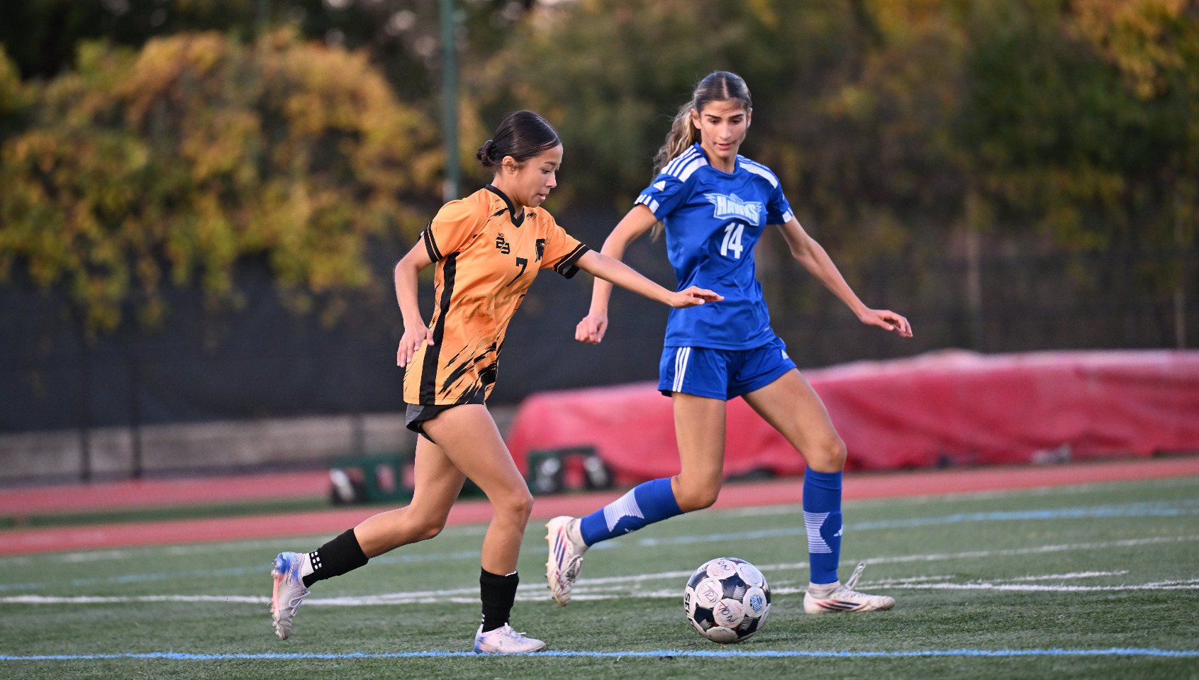 Women's Soccer Action Photo