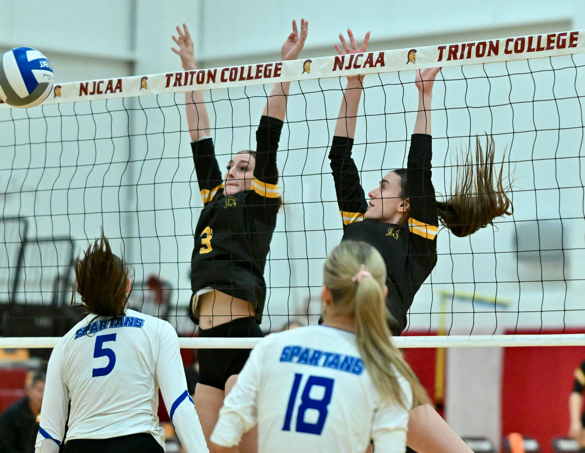 Volleyball Action Photo