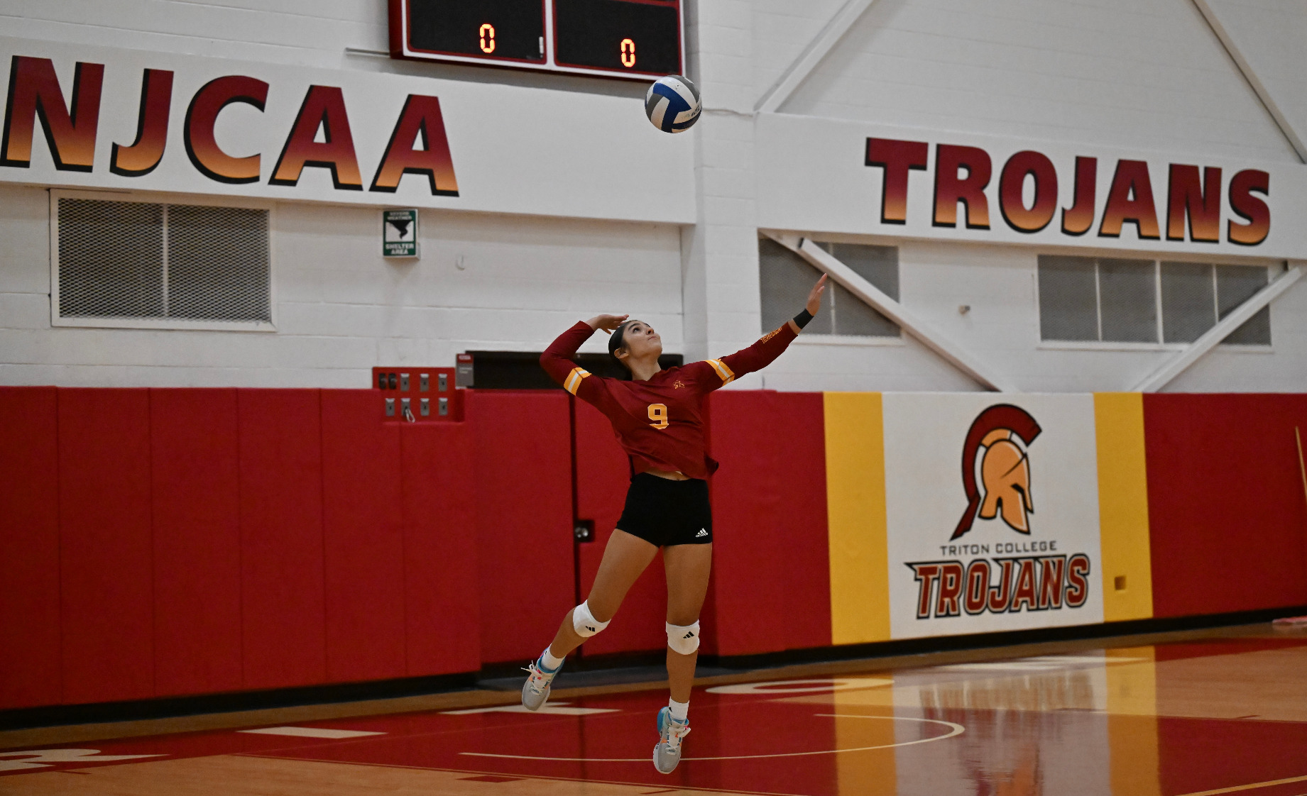 Volleyball Action Photo