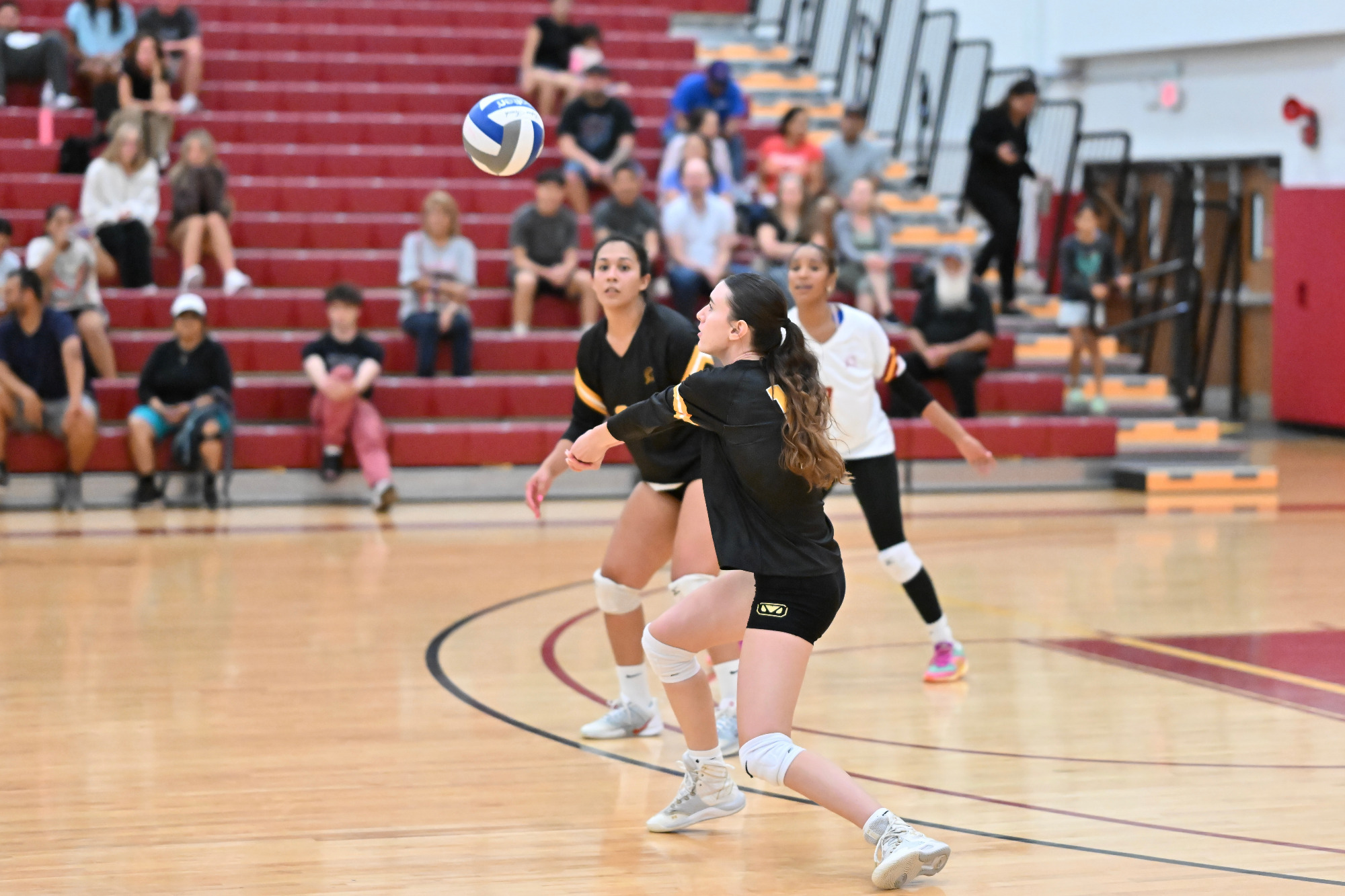 Volleyball Action Photo