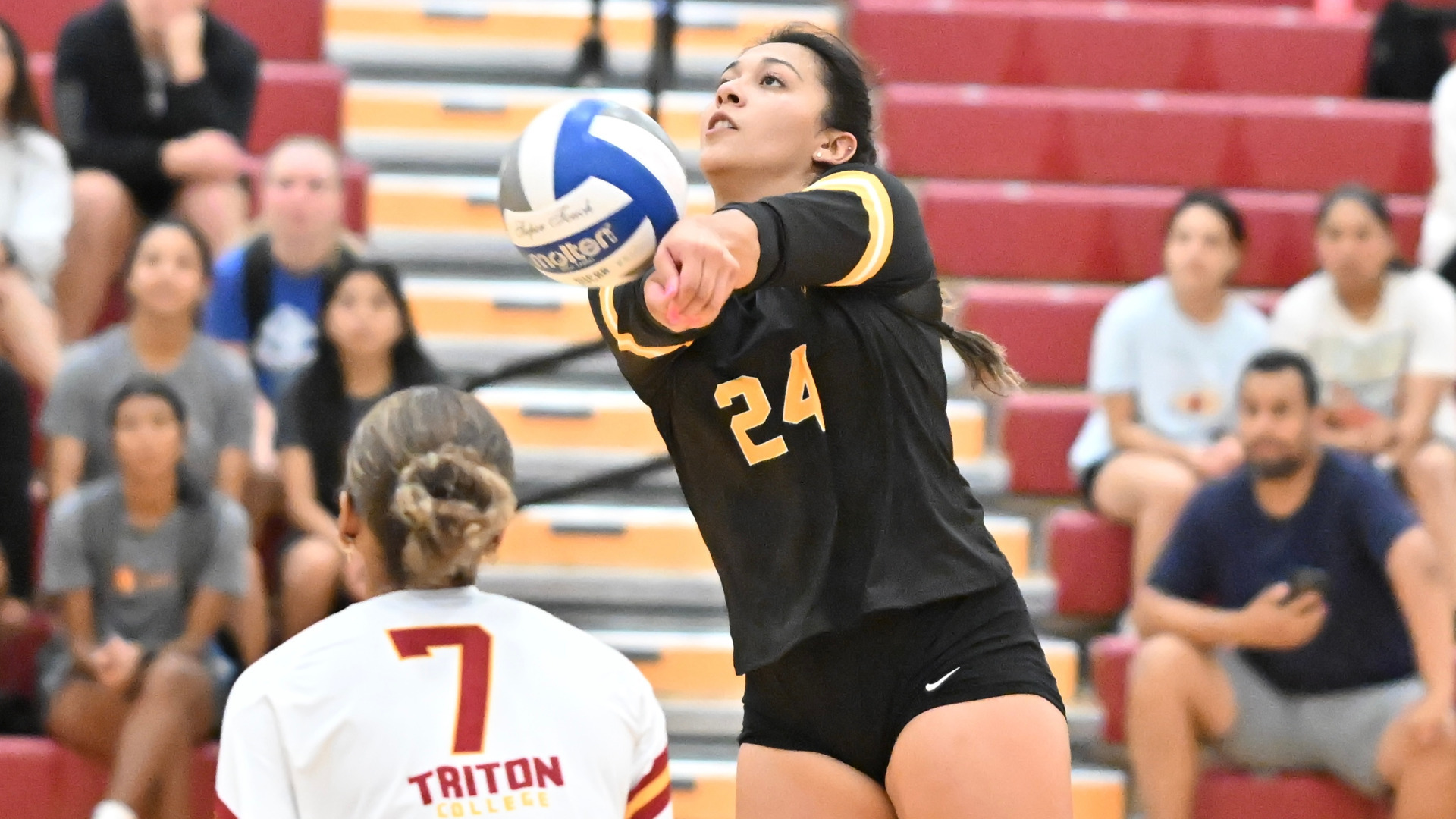 Volleyball Action Photo