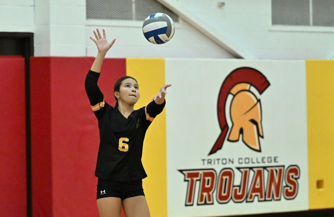 Volleyball Action Photo