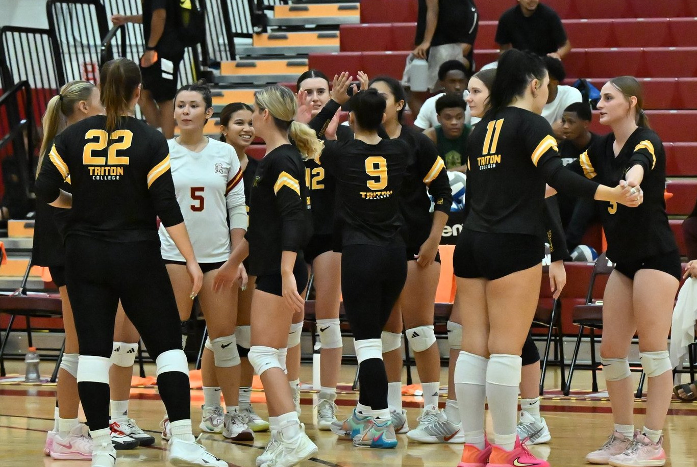 Volleyball Action Photo