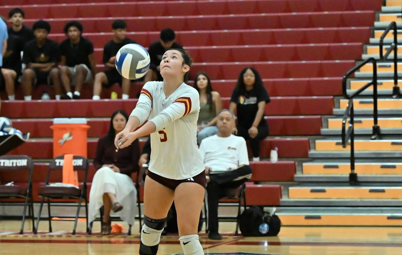 Volleyball Action Photo