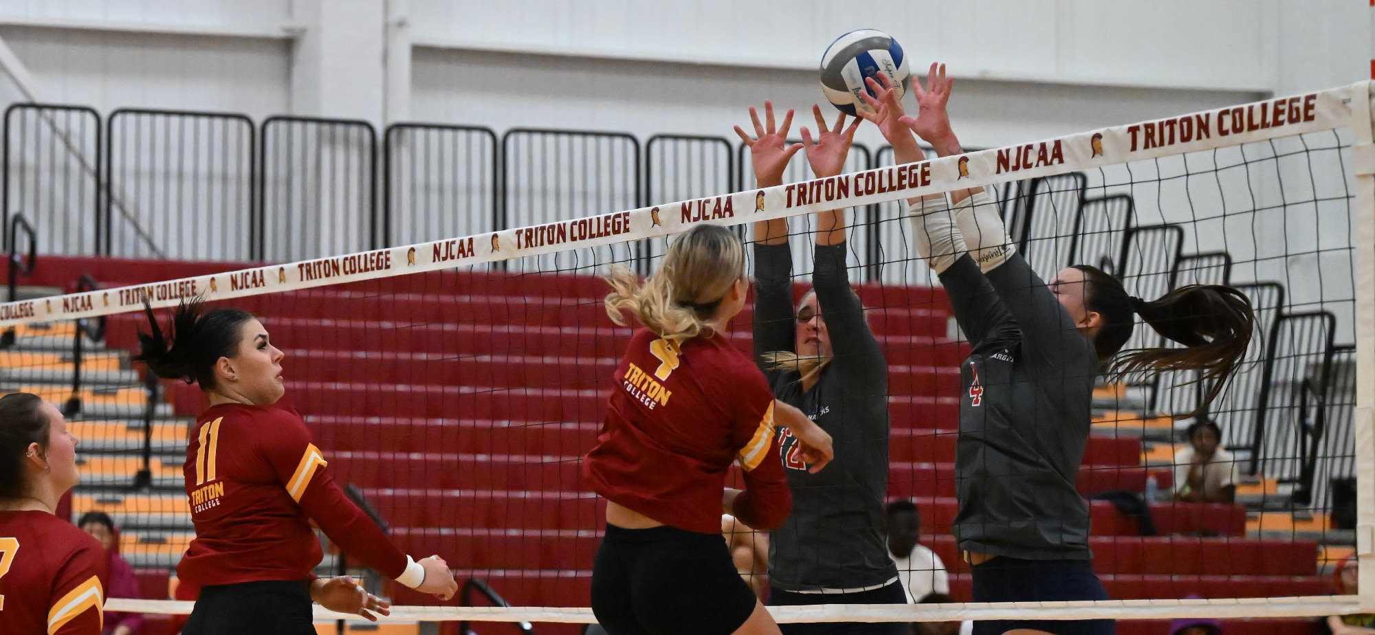 Volleyball Action Photo