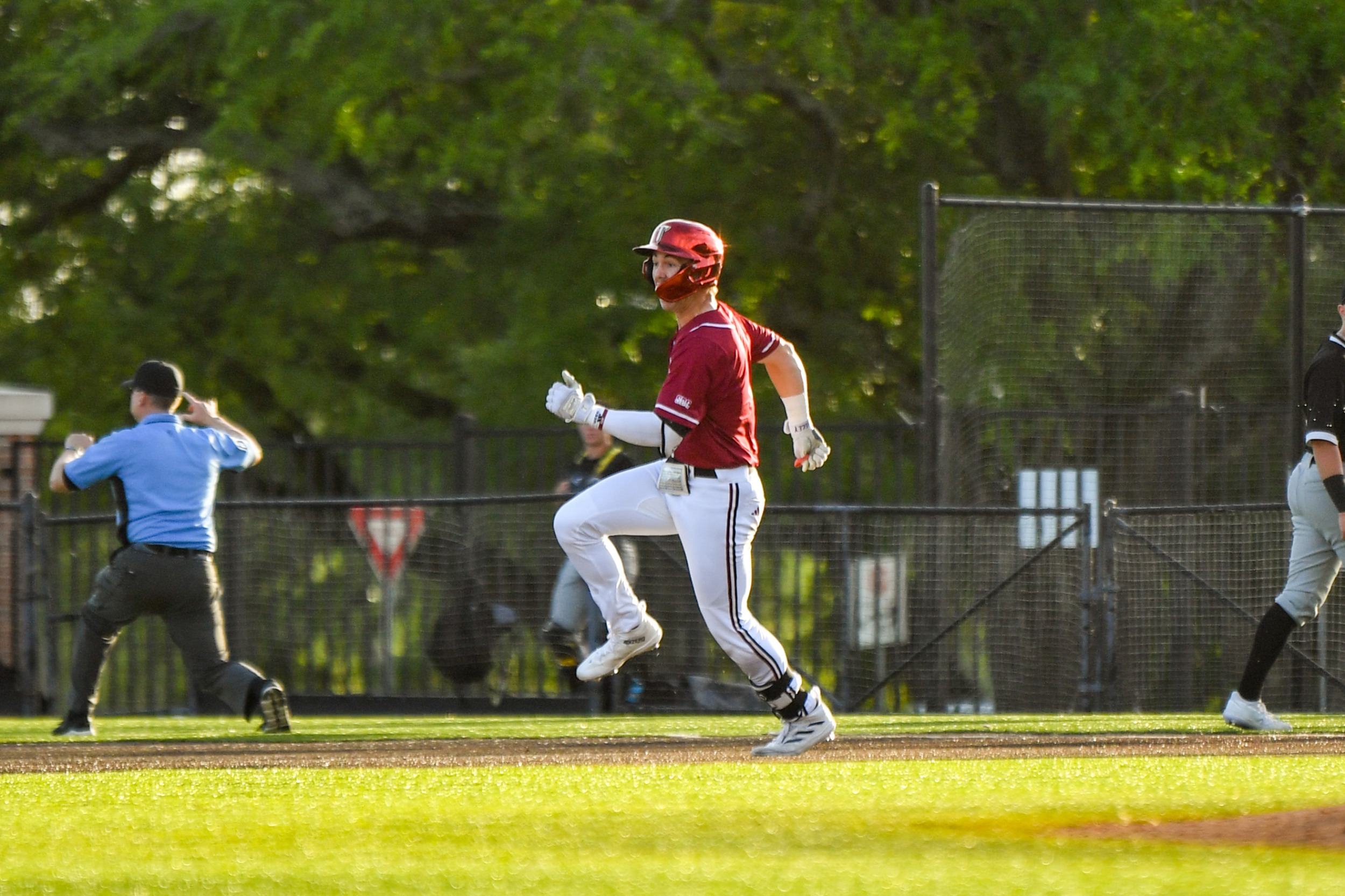 Shane Lewis Baseball Troy University Athletics