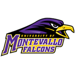 Opponent Logo