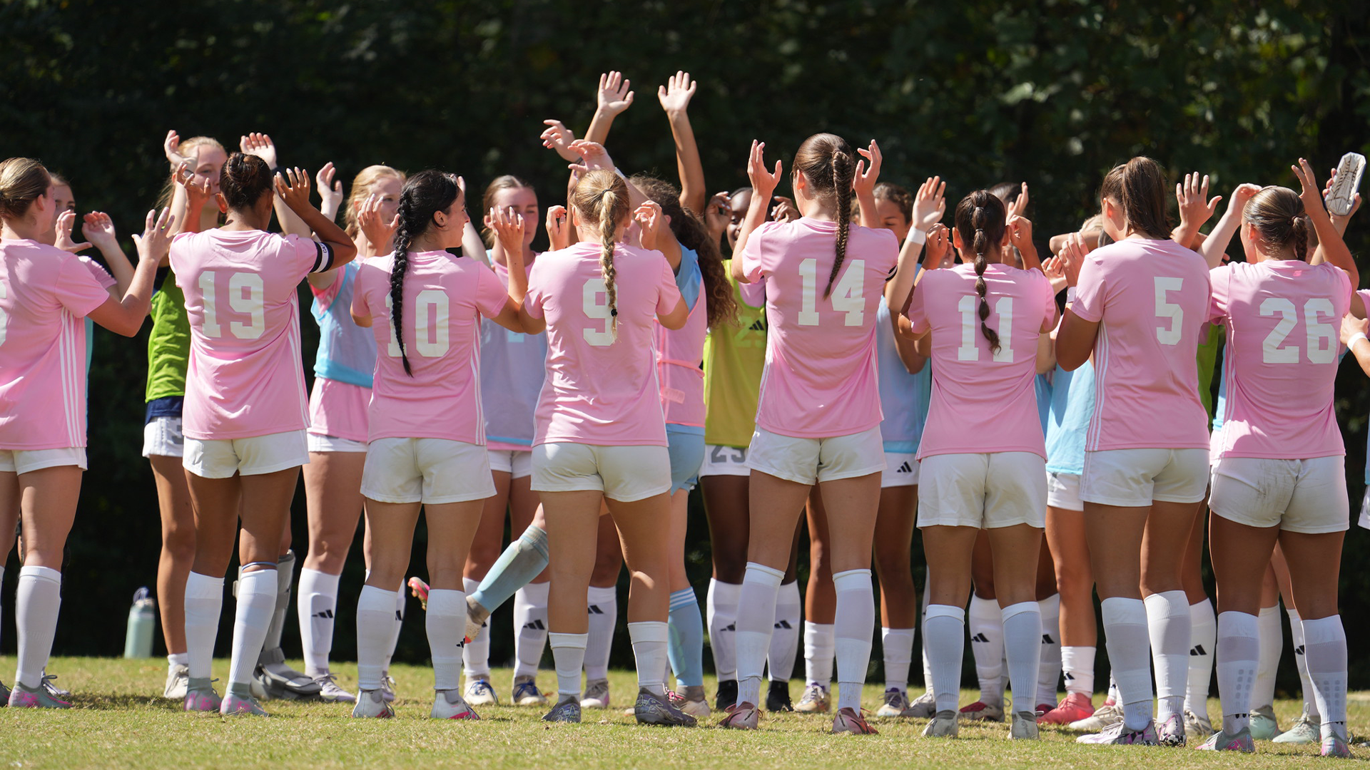 WSOC 2026 Preview