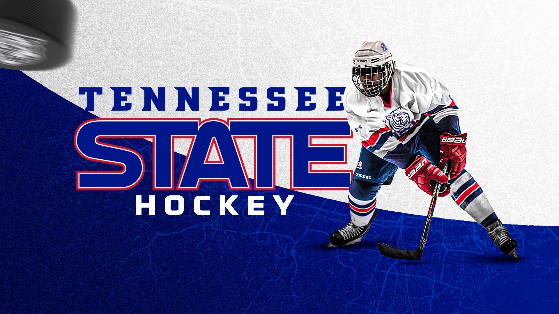 TSU Hockey