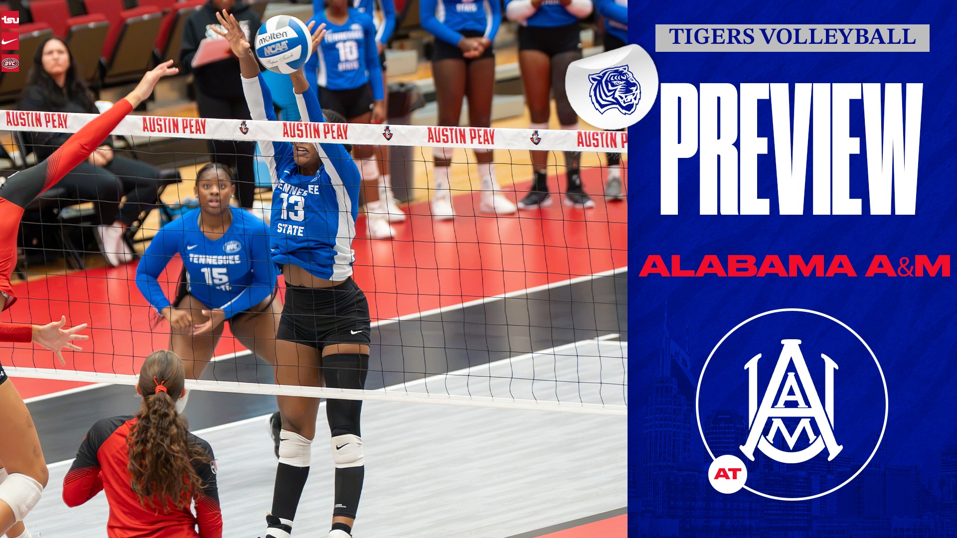 vb preview - aamu