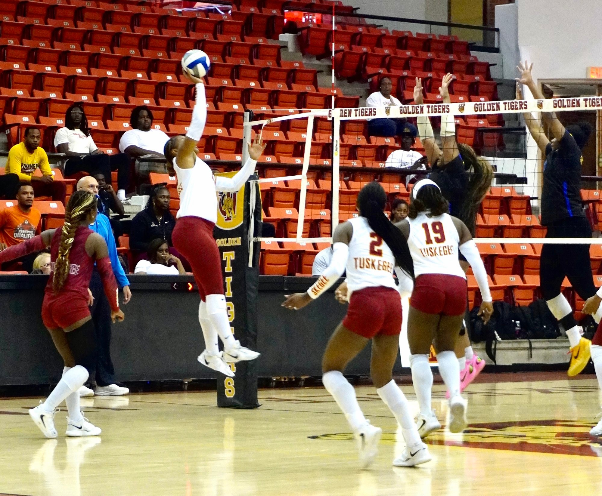 Volleyball action 2026