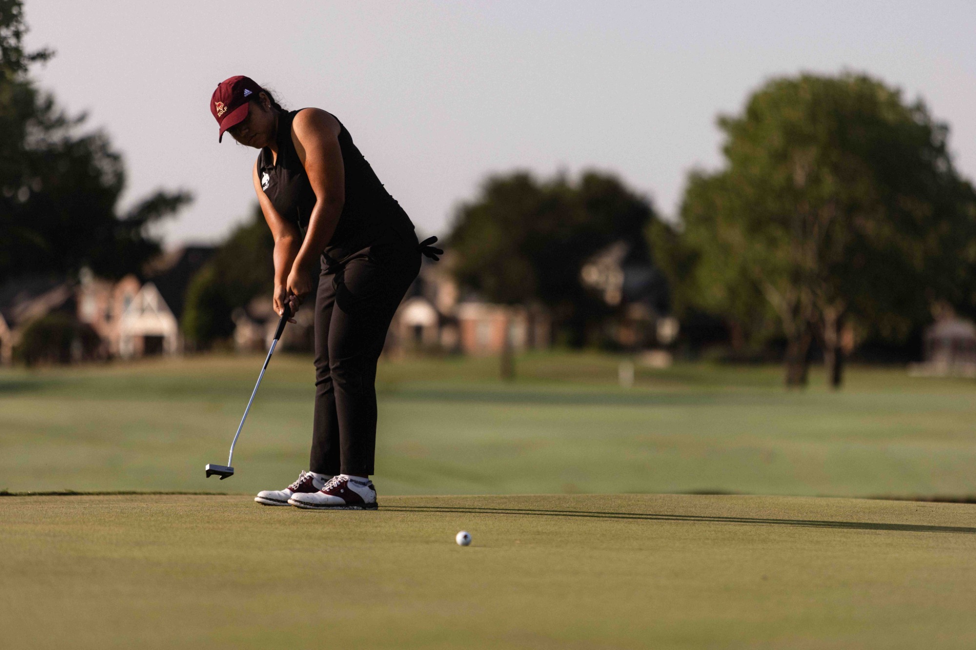 G Quintanilla Sam Golden