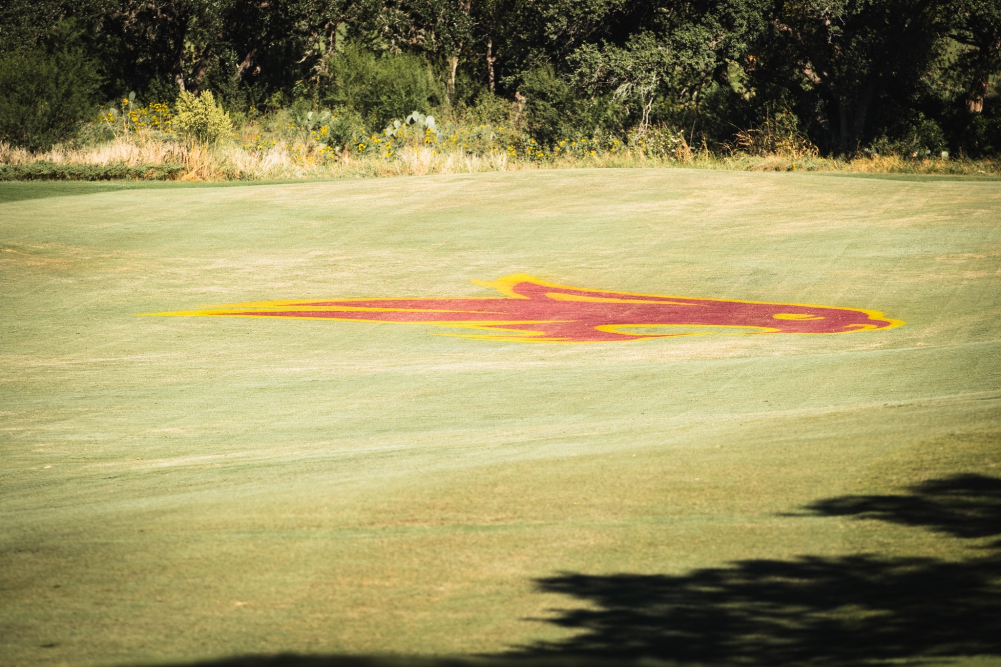 Jim West Challenge with Bobcat logo on Kissing Tree 
