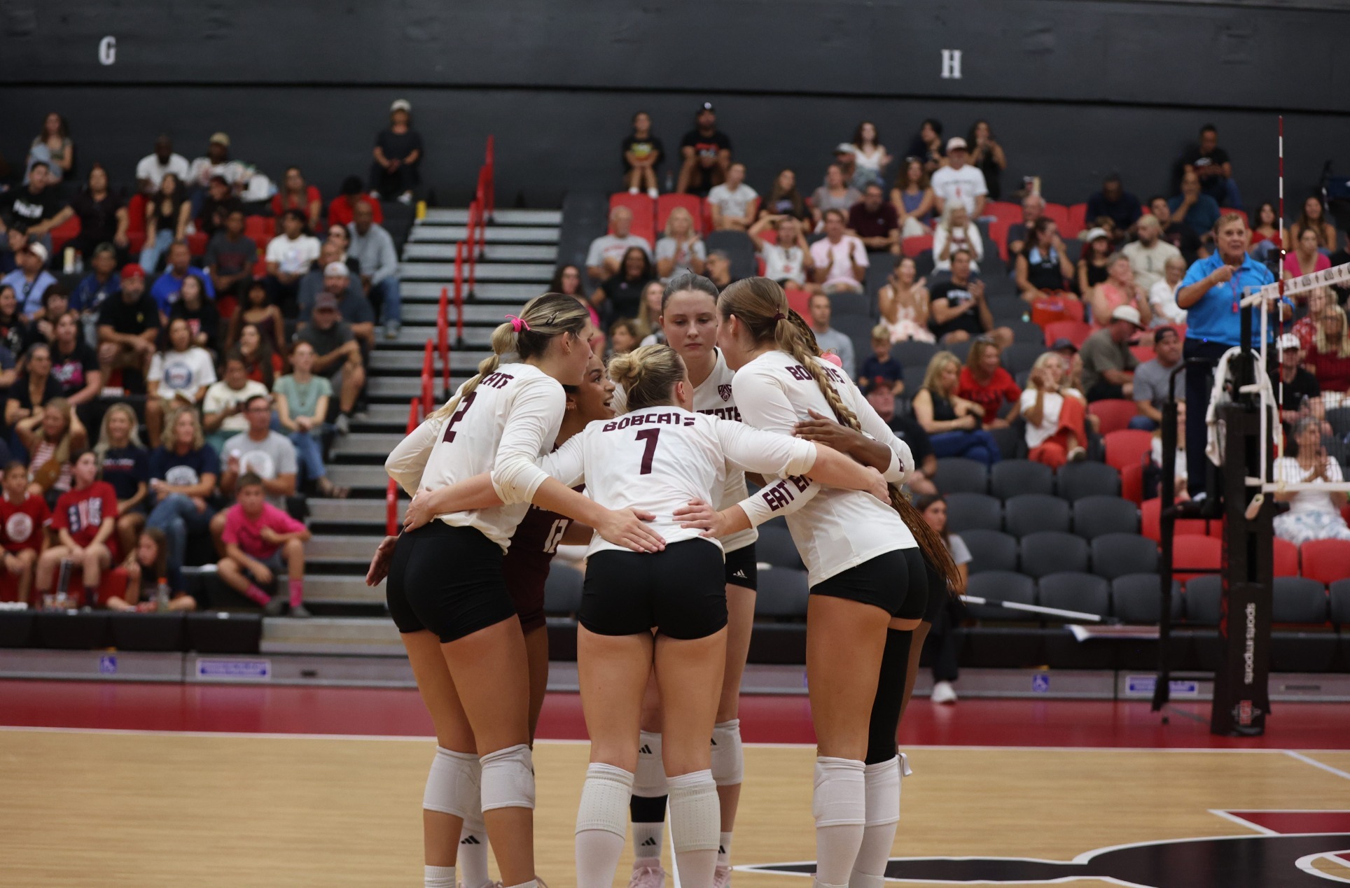 Volleyball Team Huddle