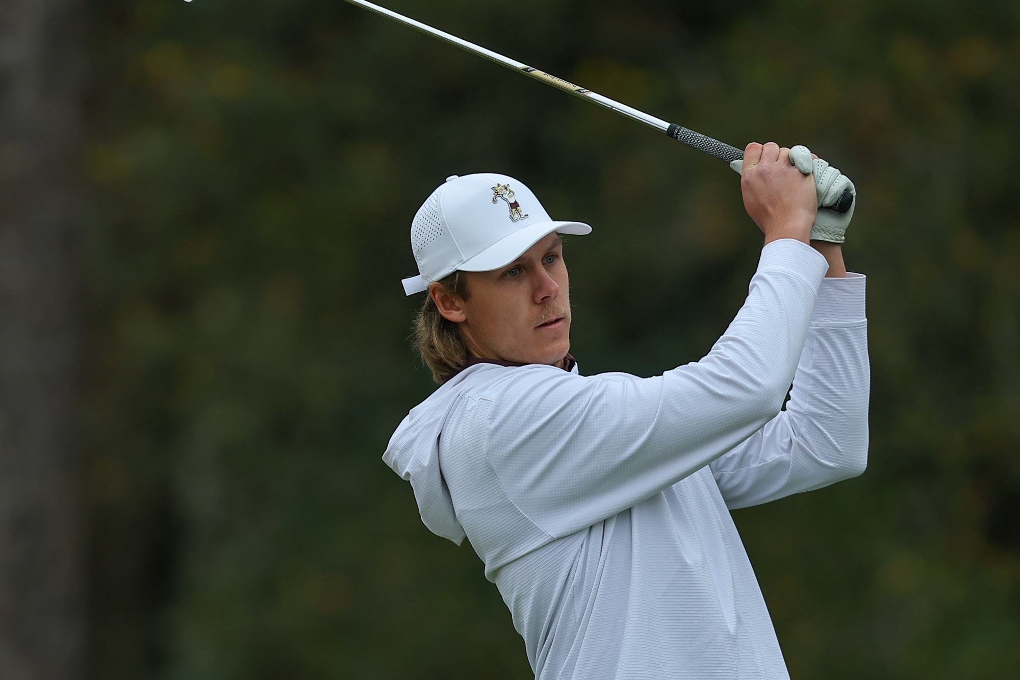 S Siltala Hal Williams