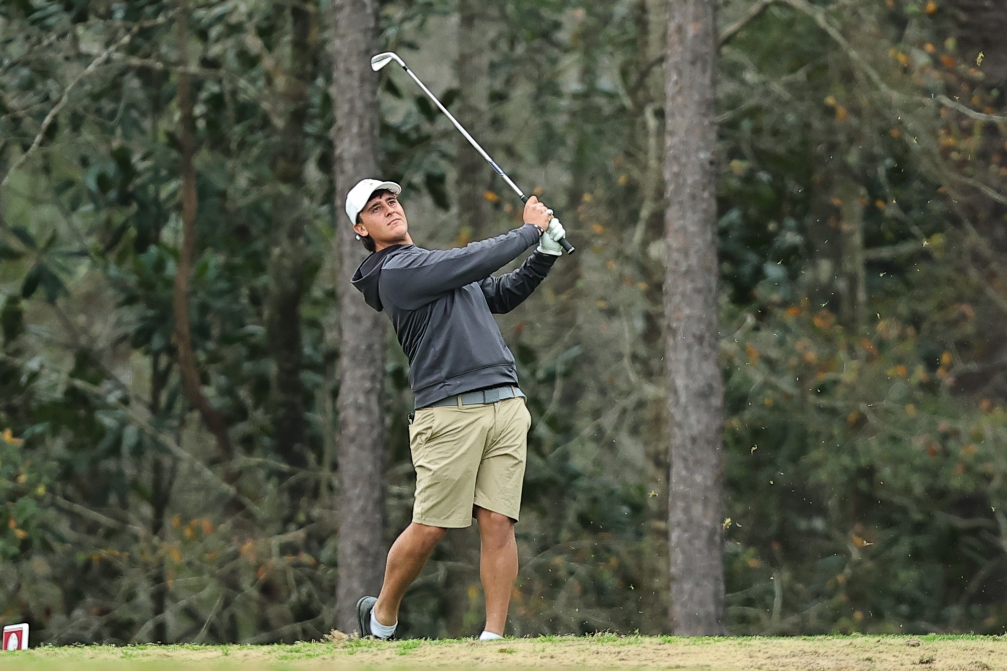 Jose Manuel Berenguel Casas - Hal Williams