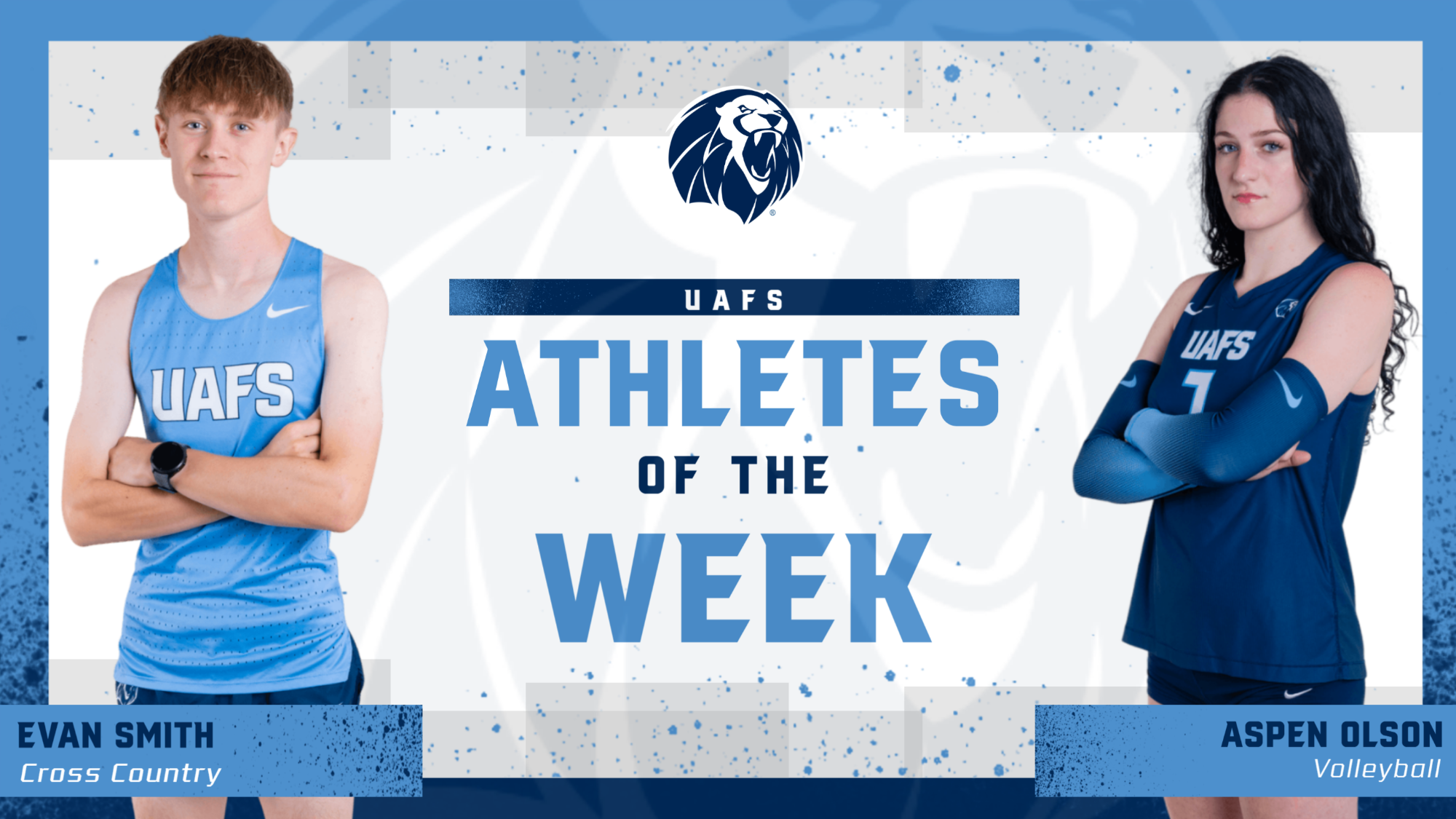 aotw