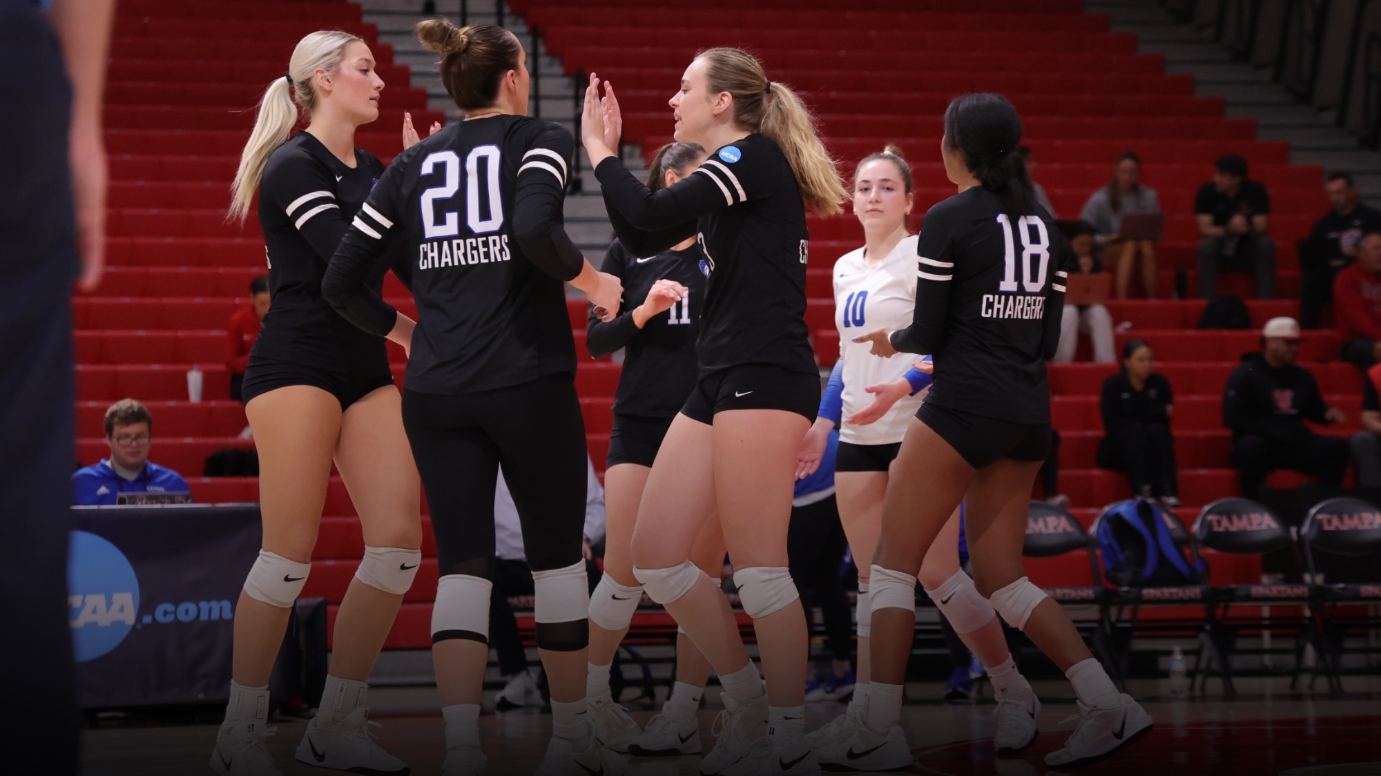 Volleyball team celebrating a point