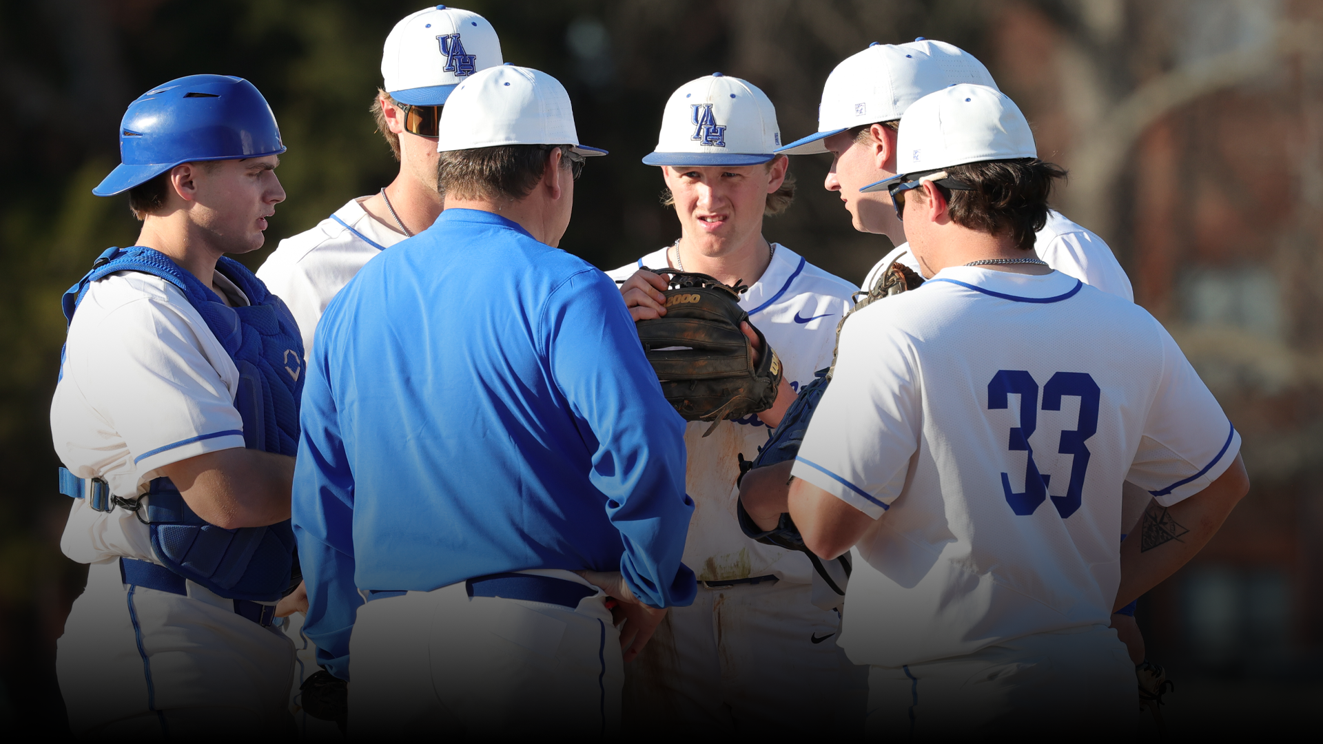 Baseball Mound Visit