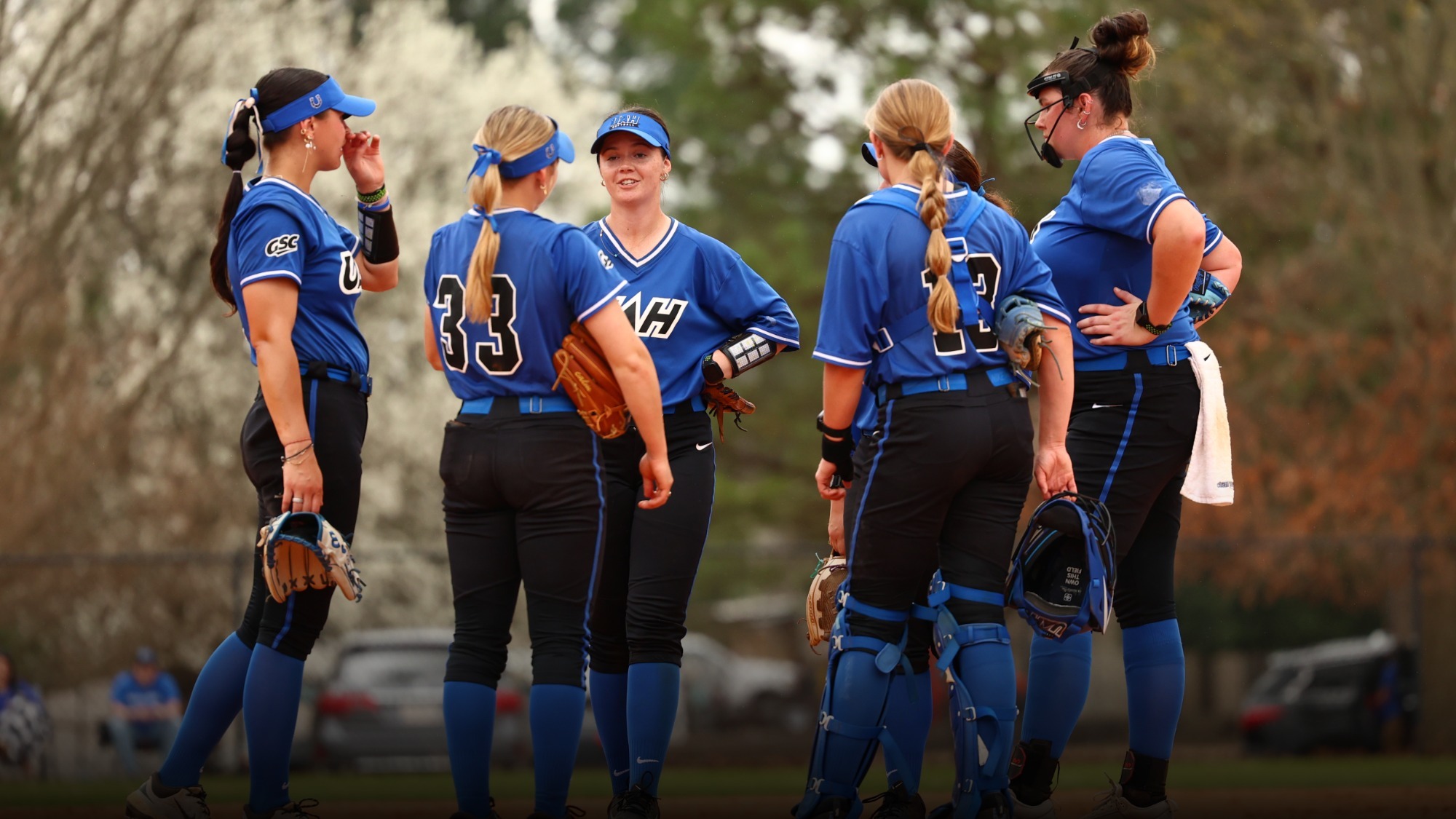 Softball team in a circle visit
