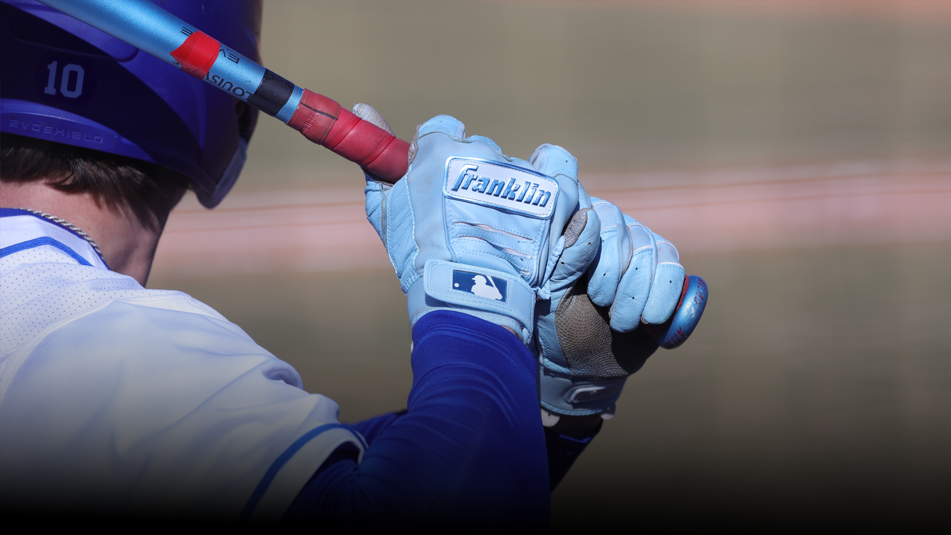 Baseball Batting Glove Shot