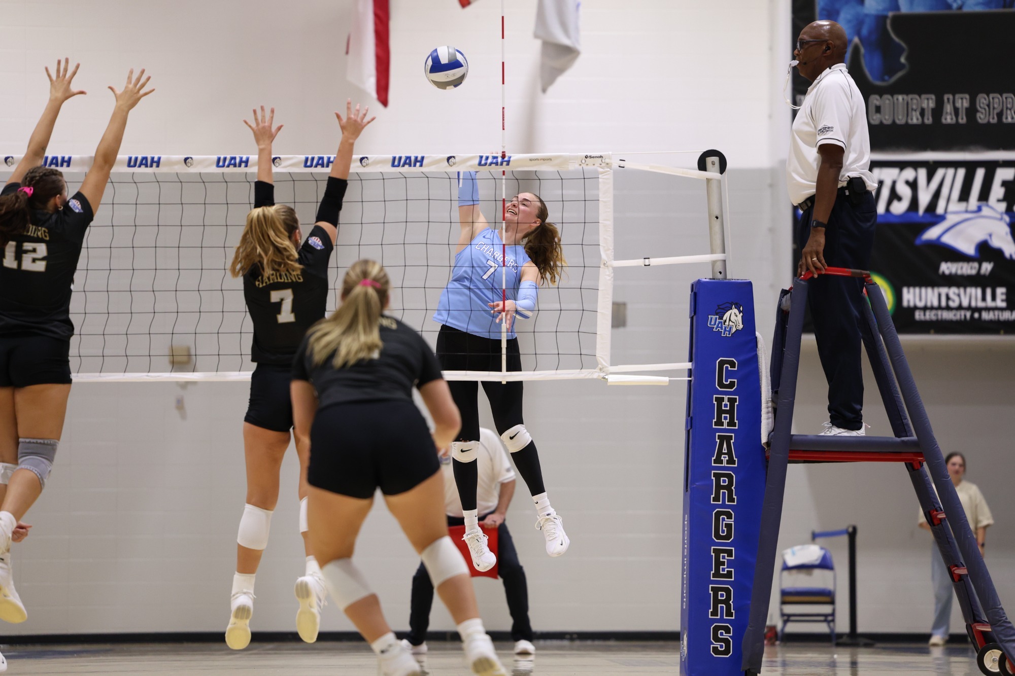 Ella Schumacher v Harding 