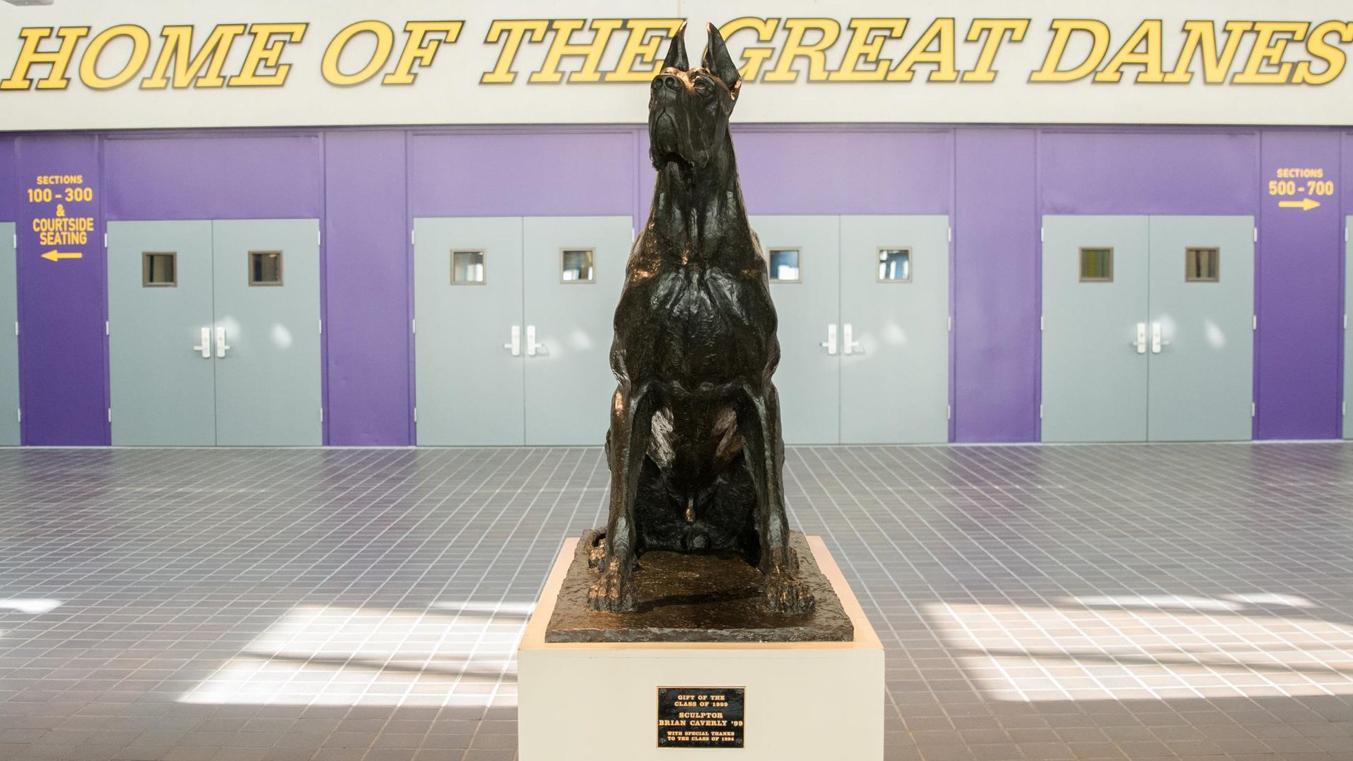 UAlbany Announces Full 2021 Fall Sports Schedules University at Albany Great Danes