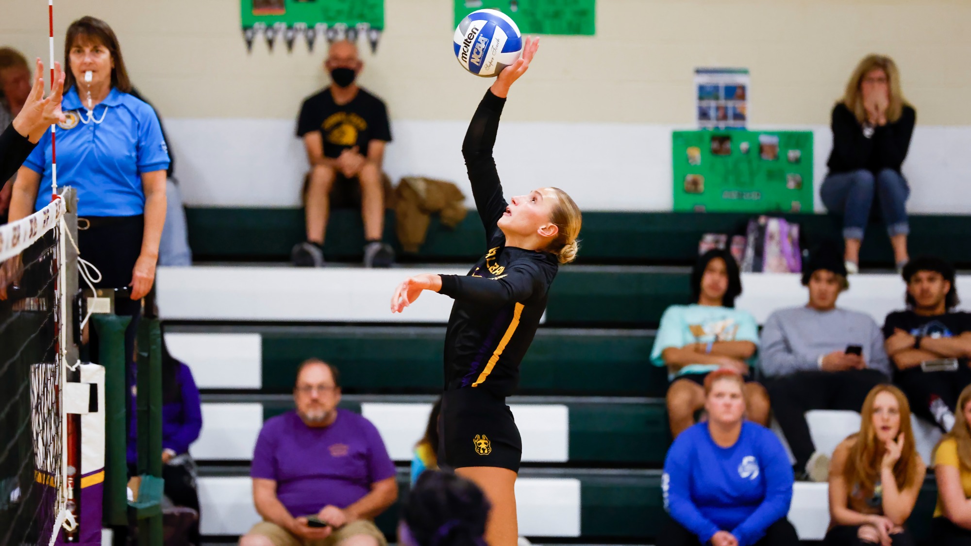 Volleyball Closes the Regular Season at Home University at Albany
