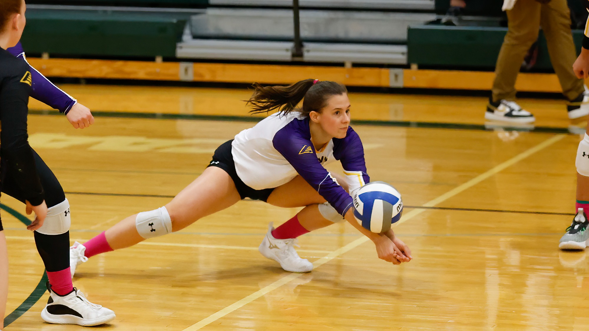 Myhal Named to America East AllRookie Team University at Albany