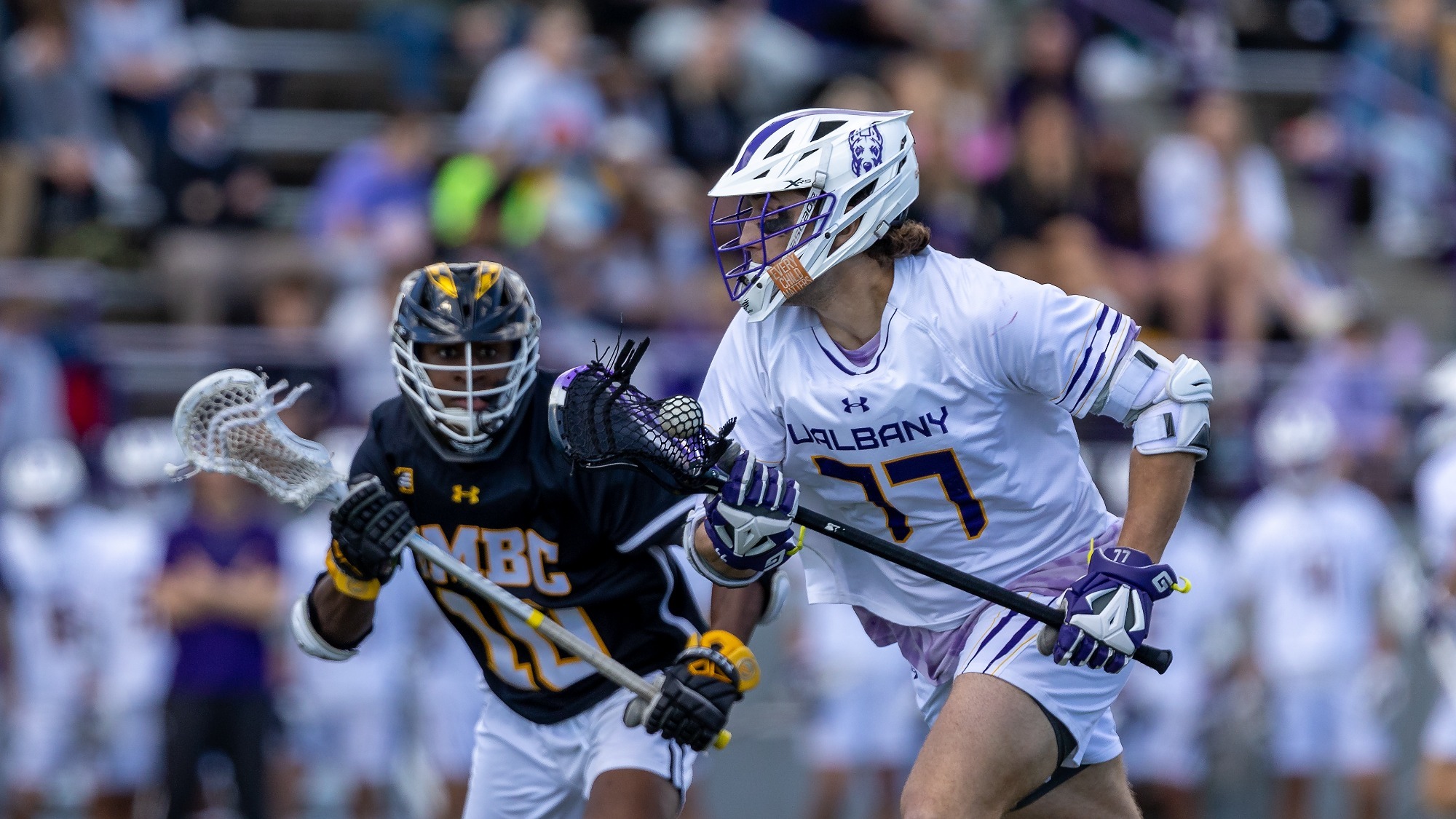 Men's Lacrosse Hosts Senior Day vs. Merrimack University at Albany Great Danes