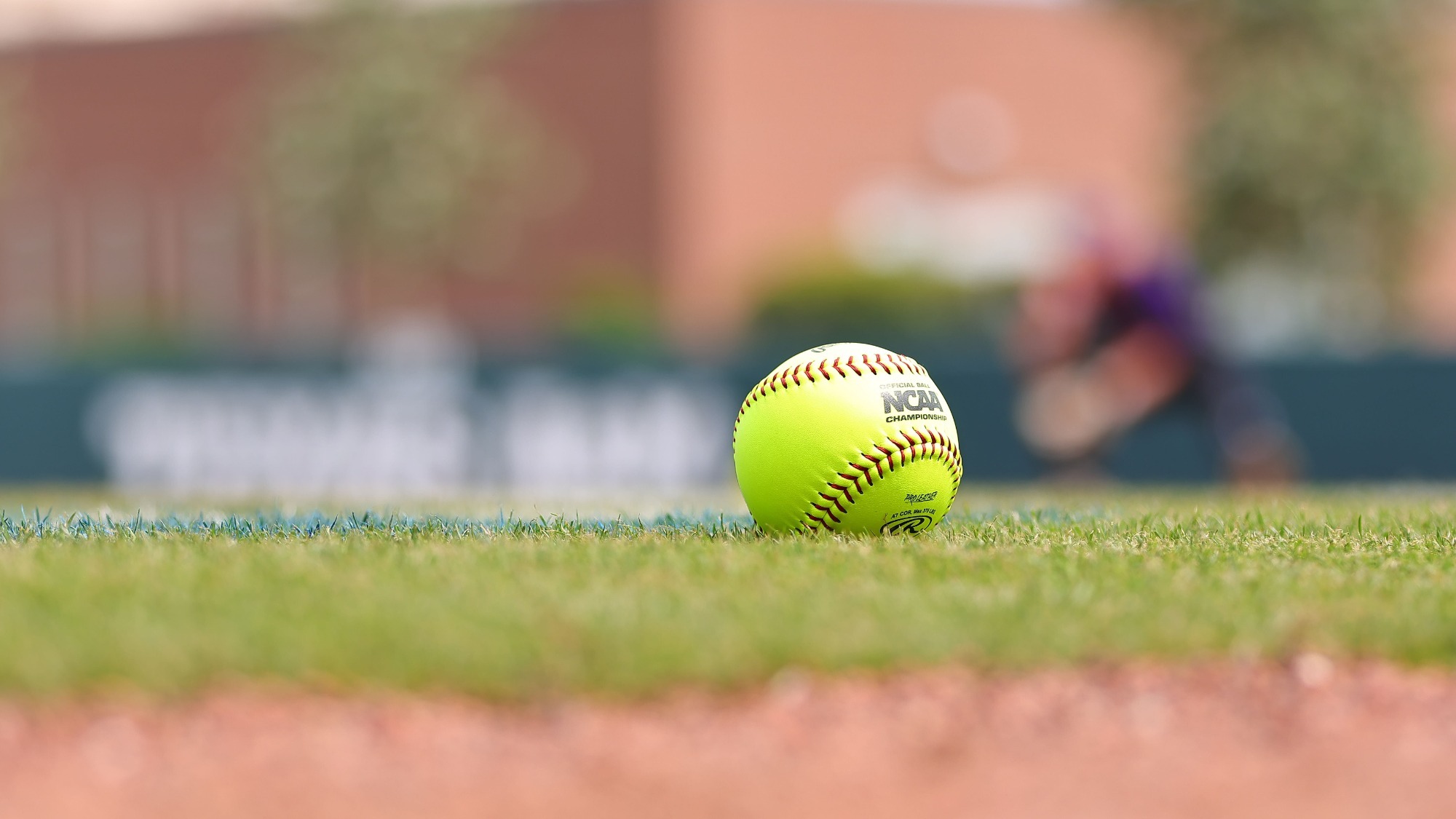 General - sb 2024, ncaa regionals