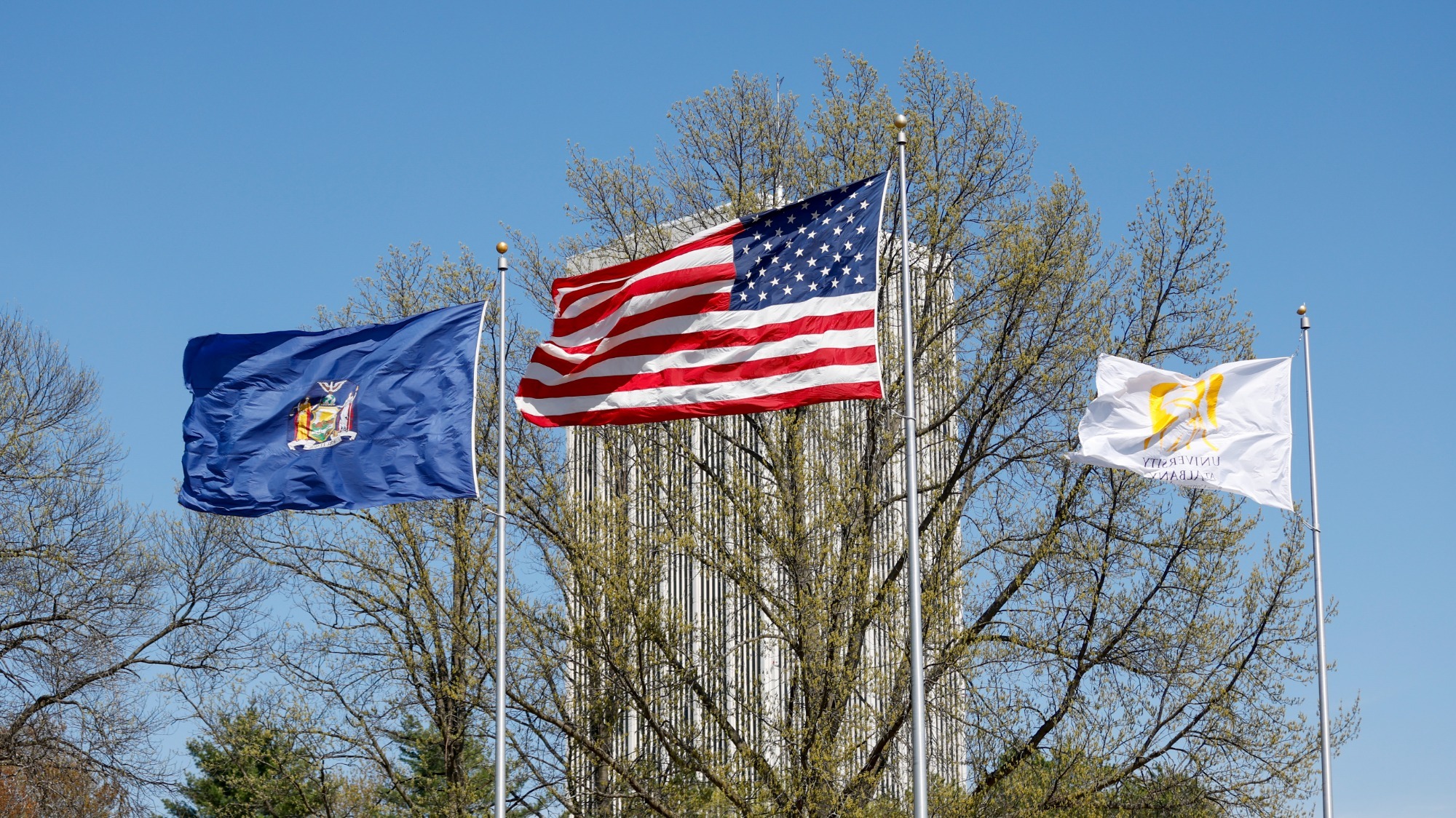 General - Bobbi Palma 2023