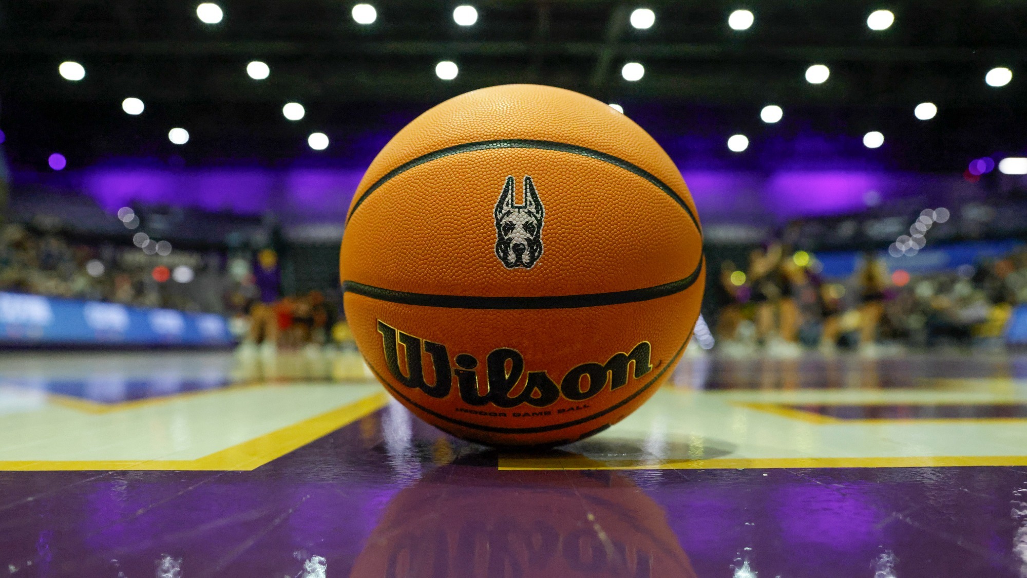 General - Cornell 2024