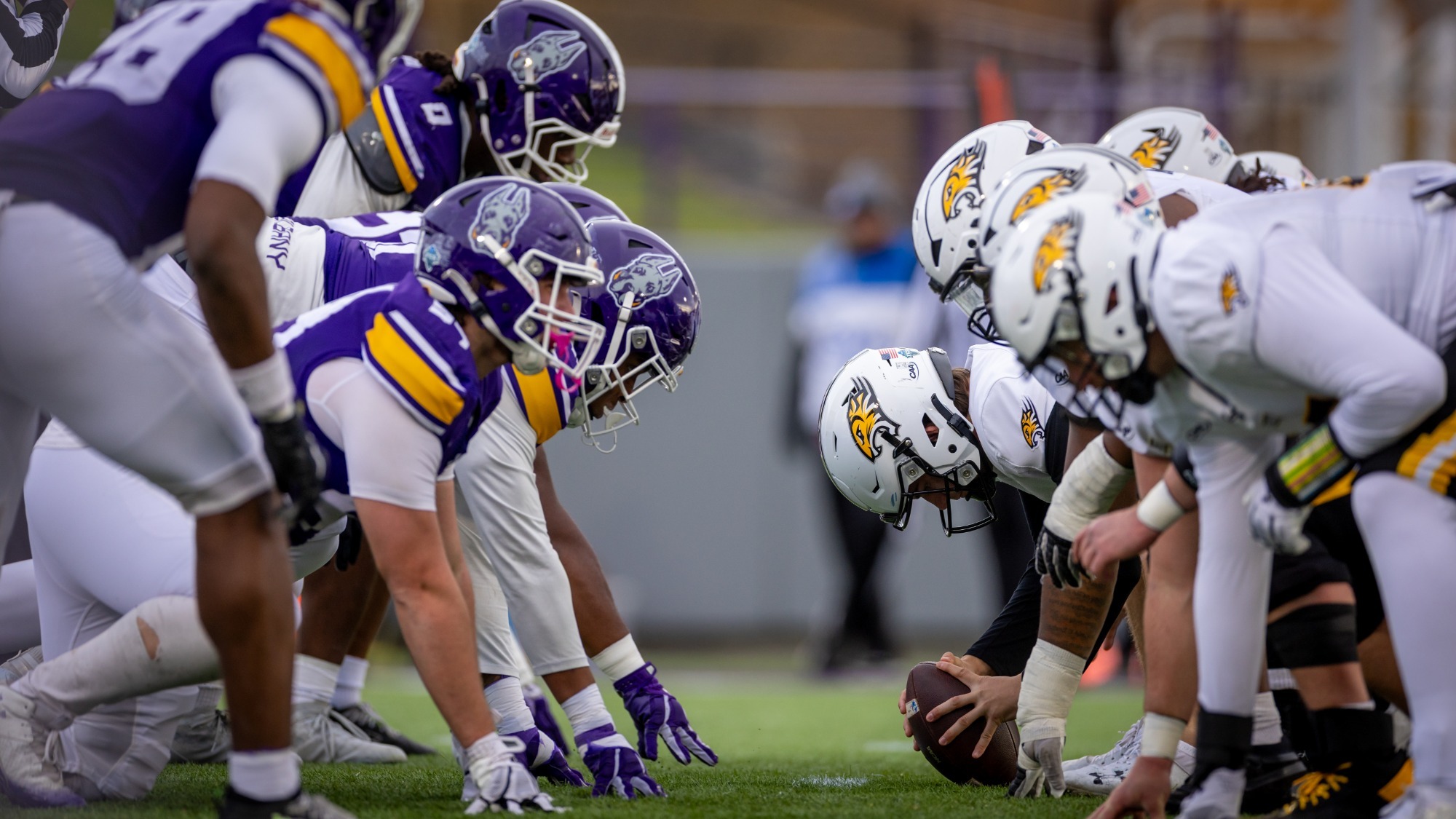 Football vs Towson 11.15.25