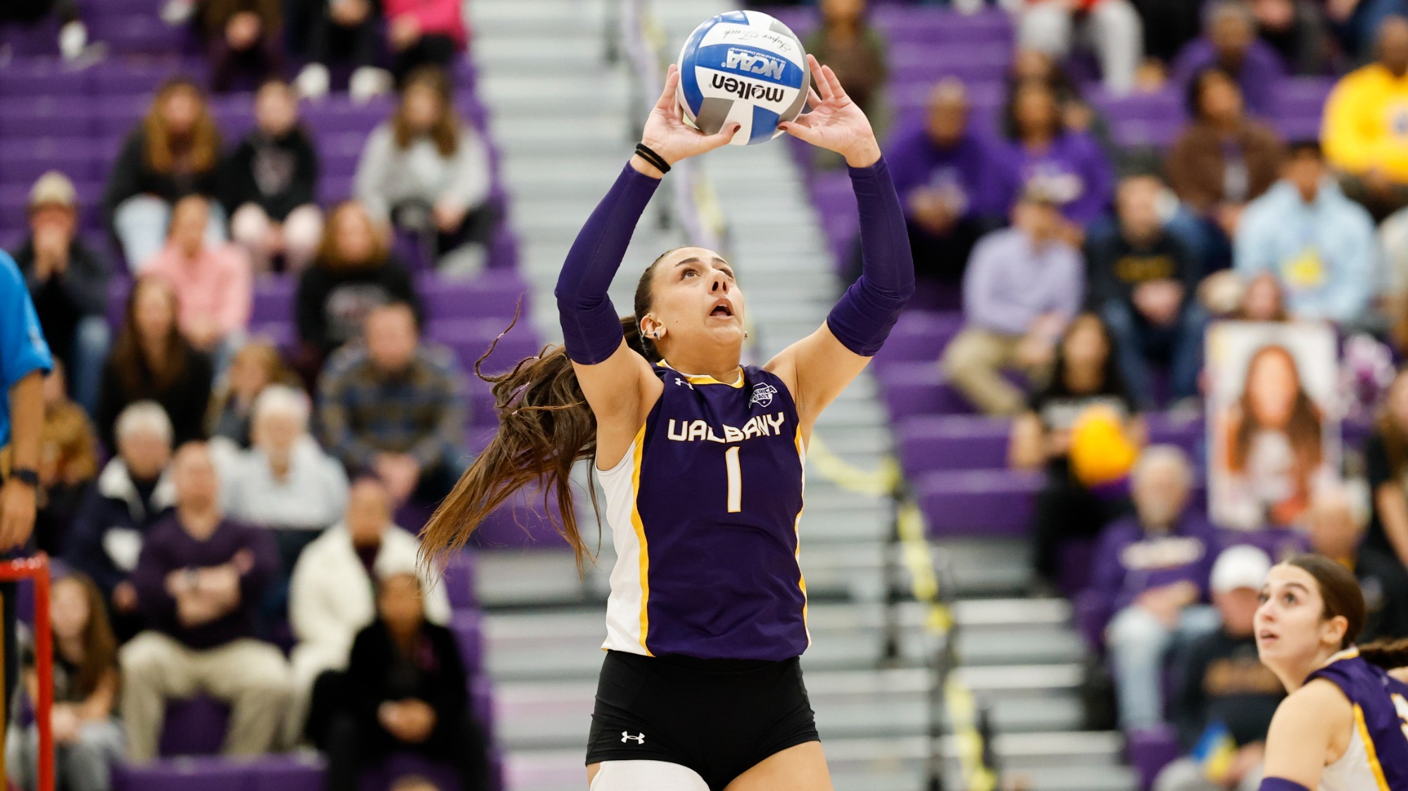 VB, Siapani, UMBC, 2025