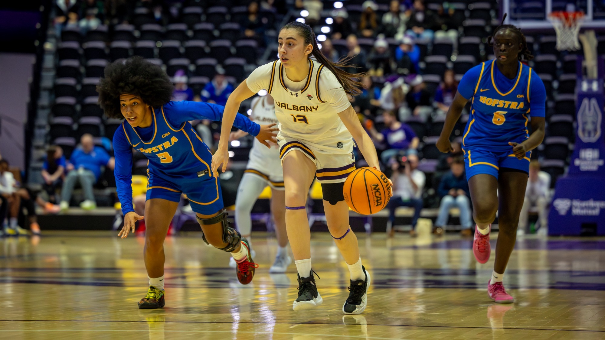 Martina Borrellas - Hofstra 2025