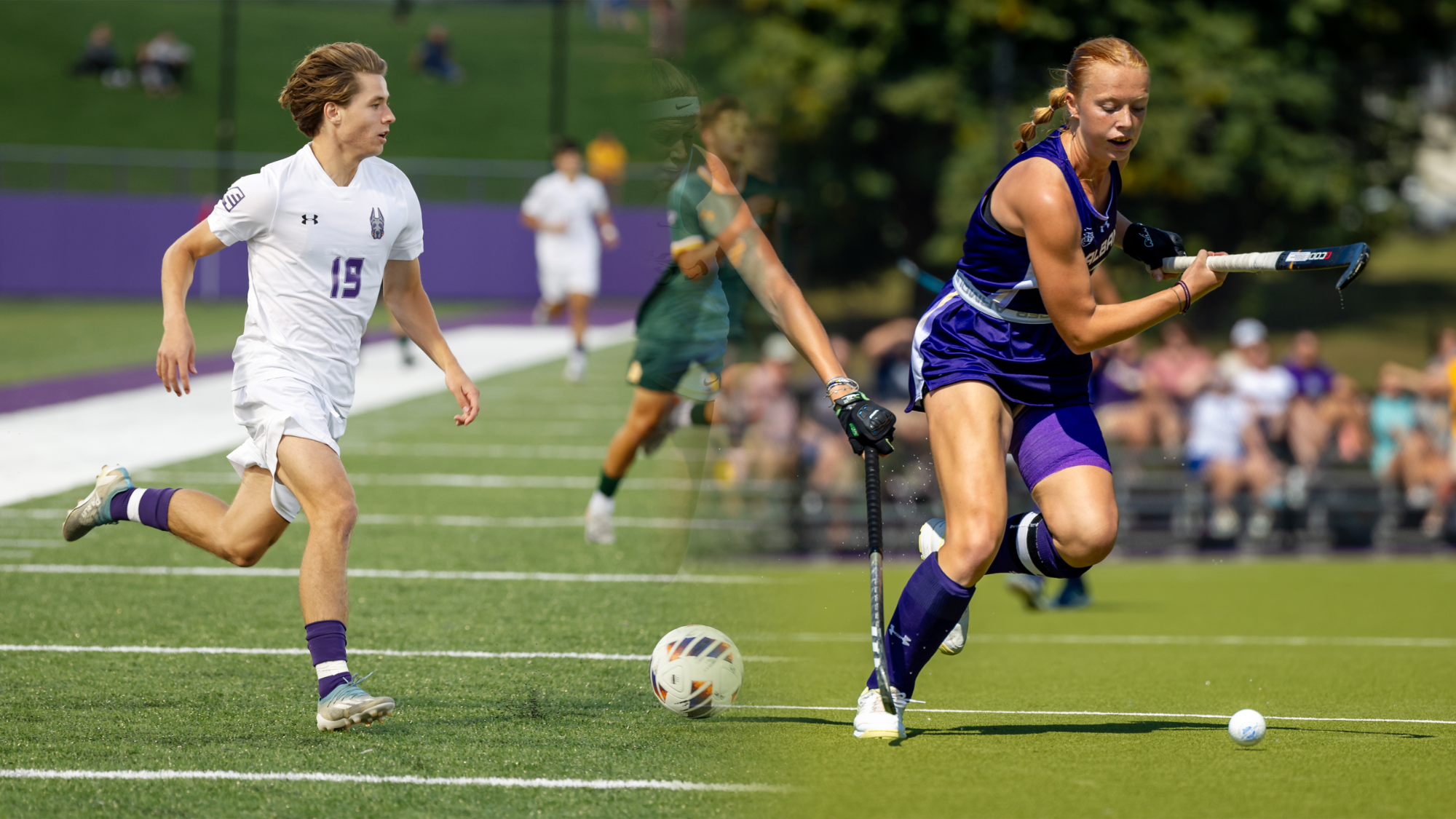 Fall SUNY Scholar-Athletes