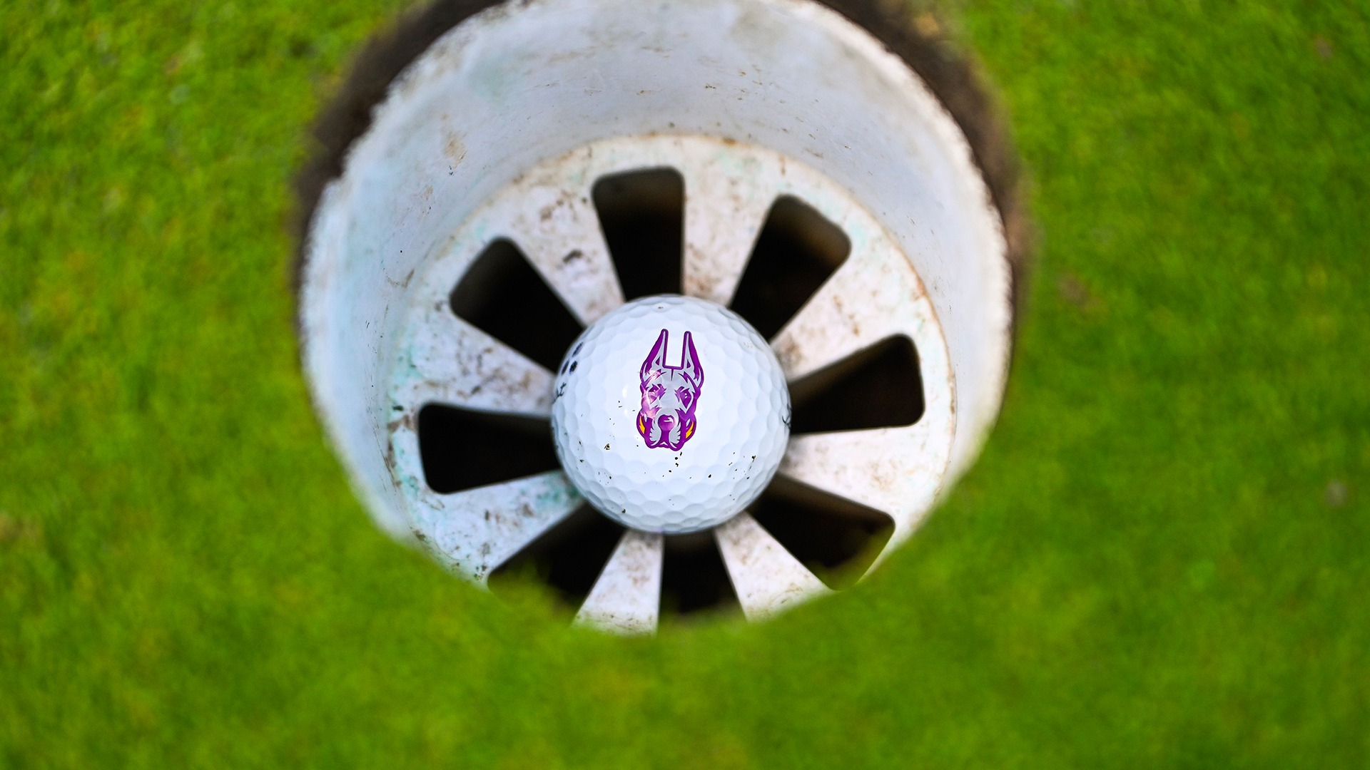 Women's Golf Ball 2026