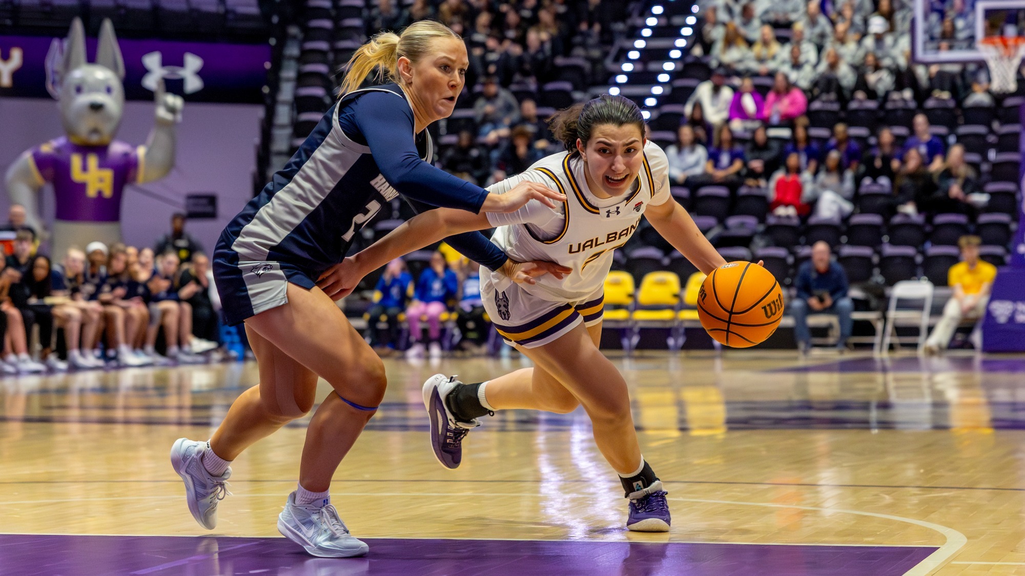 The UAlbany women's basketball team hosted New Hampshire at Broadview Center in Albany, New York on Saturday, January 24, 2026.