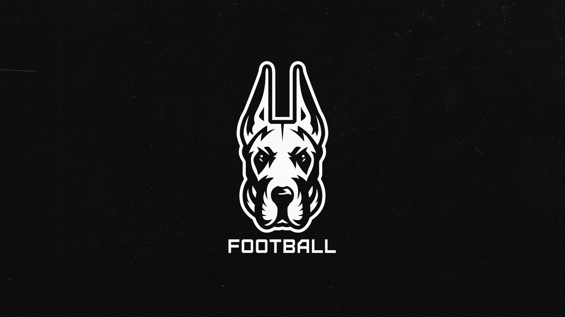 UAlbany Football Logo Cover