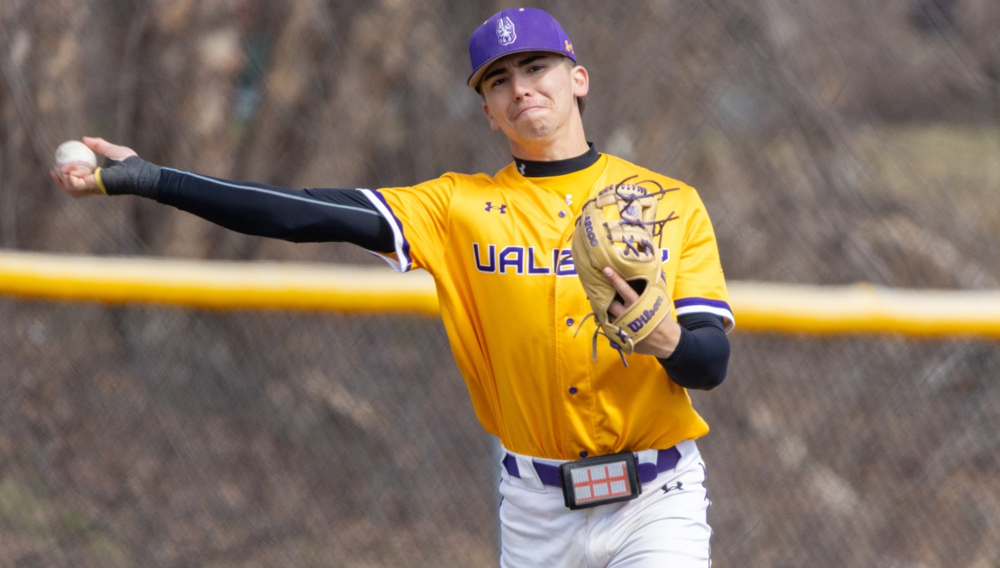 DeSarno v. UMBC