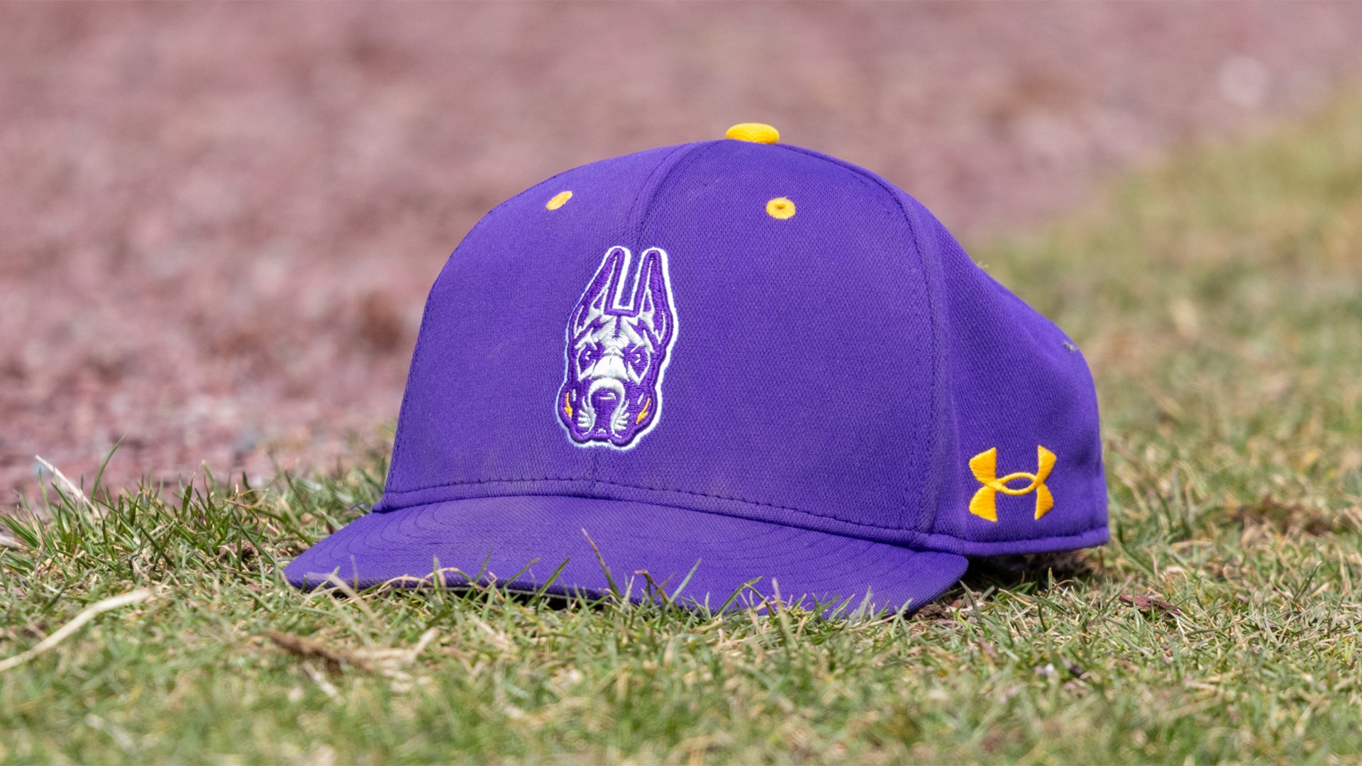 UAlbany Baseball - 2026 Hat