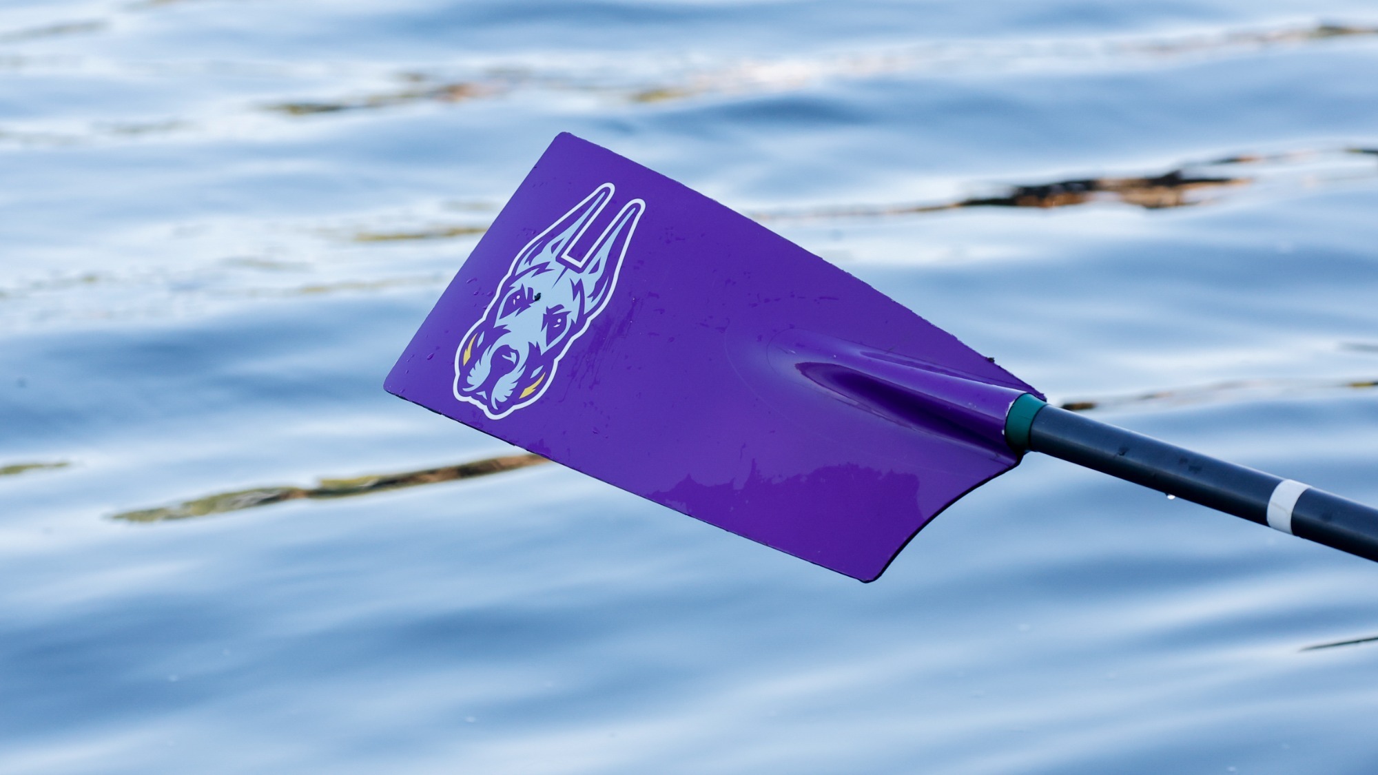 Women's Rowing Ore