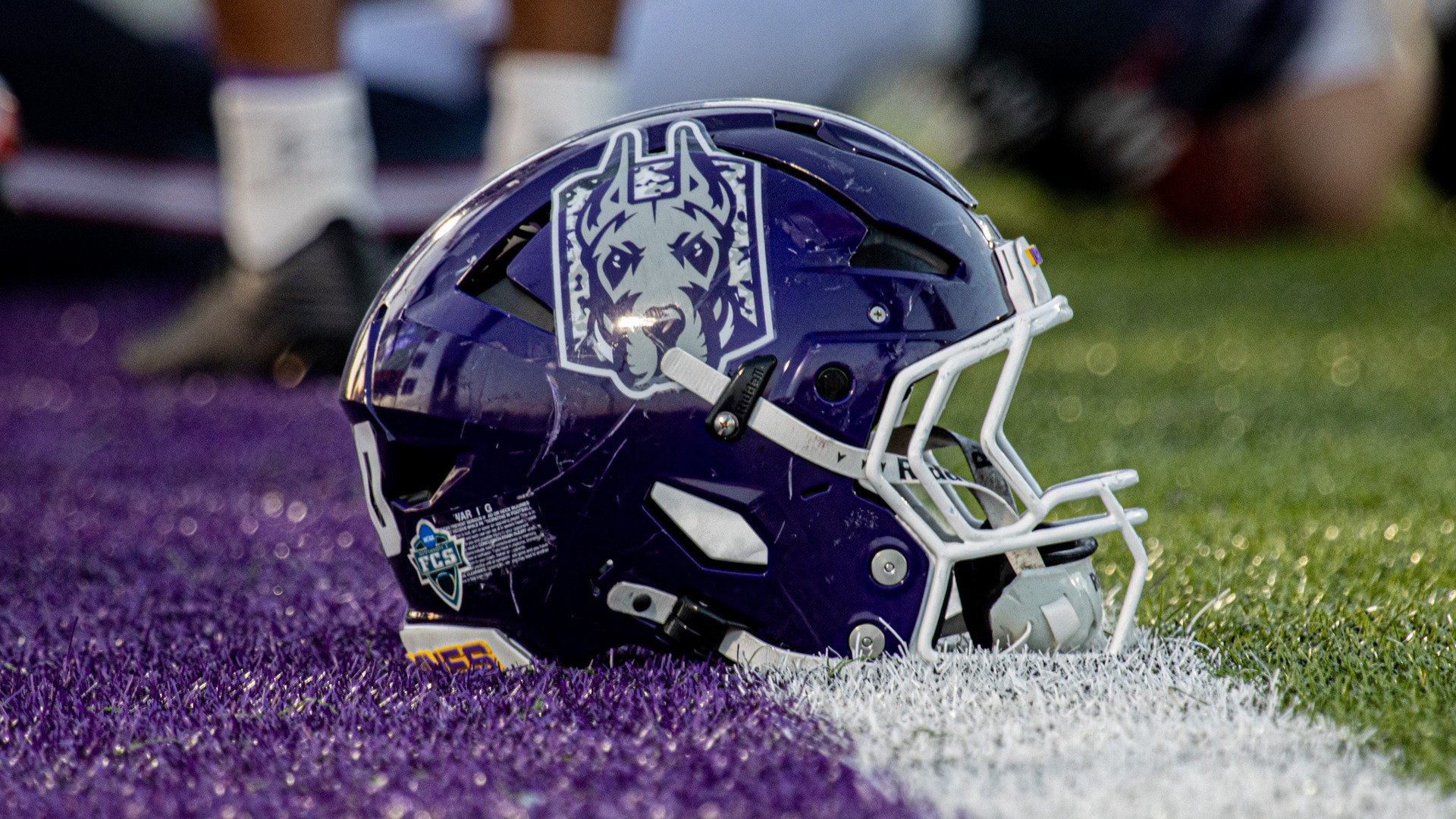 UAlbany Football Helmet - 2025
