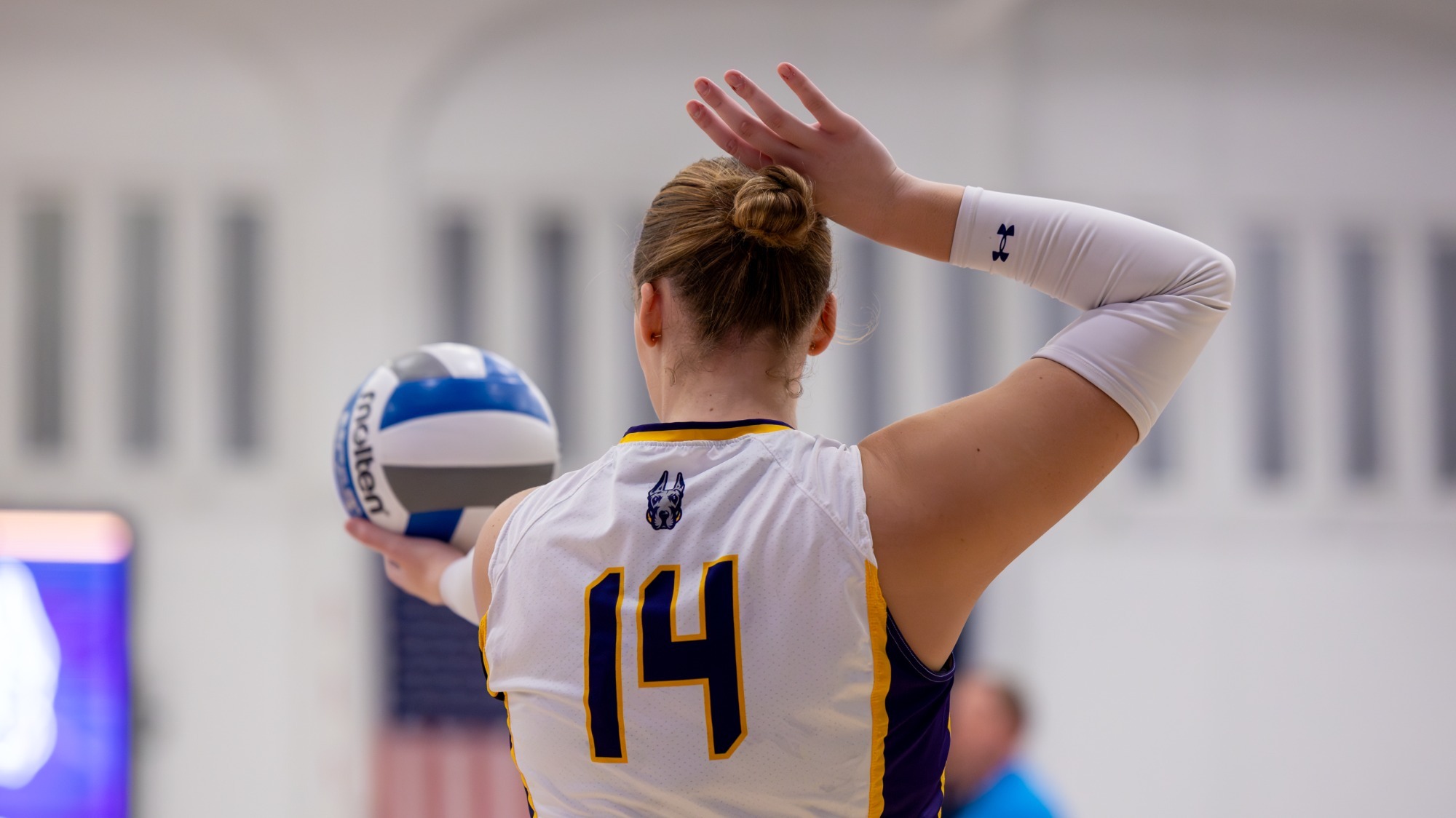 The UAlbany volleyball team hosted NJIT for Senior Day at the PE Gym in Albany, N.Y. on Friday, November 8, 2024.