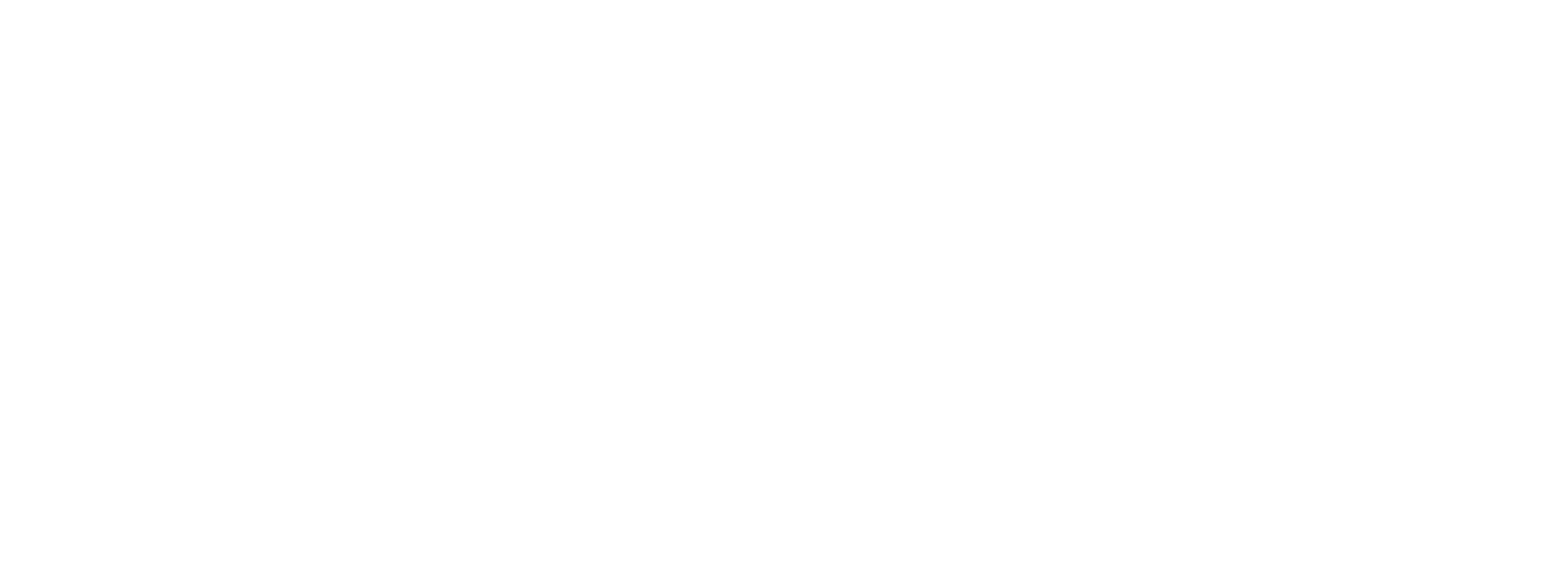 Coastal Athletic Association Football Conference, opens in new tab