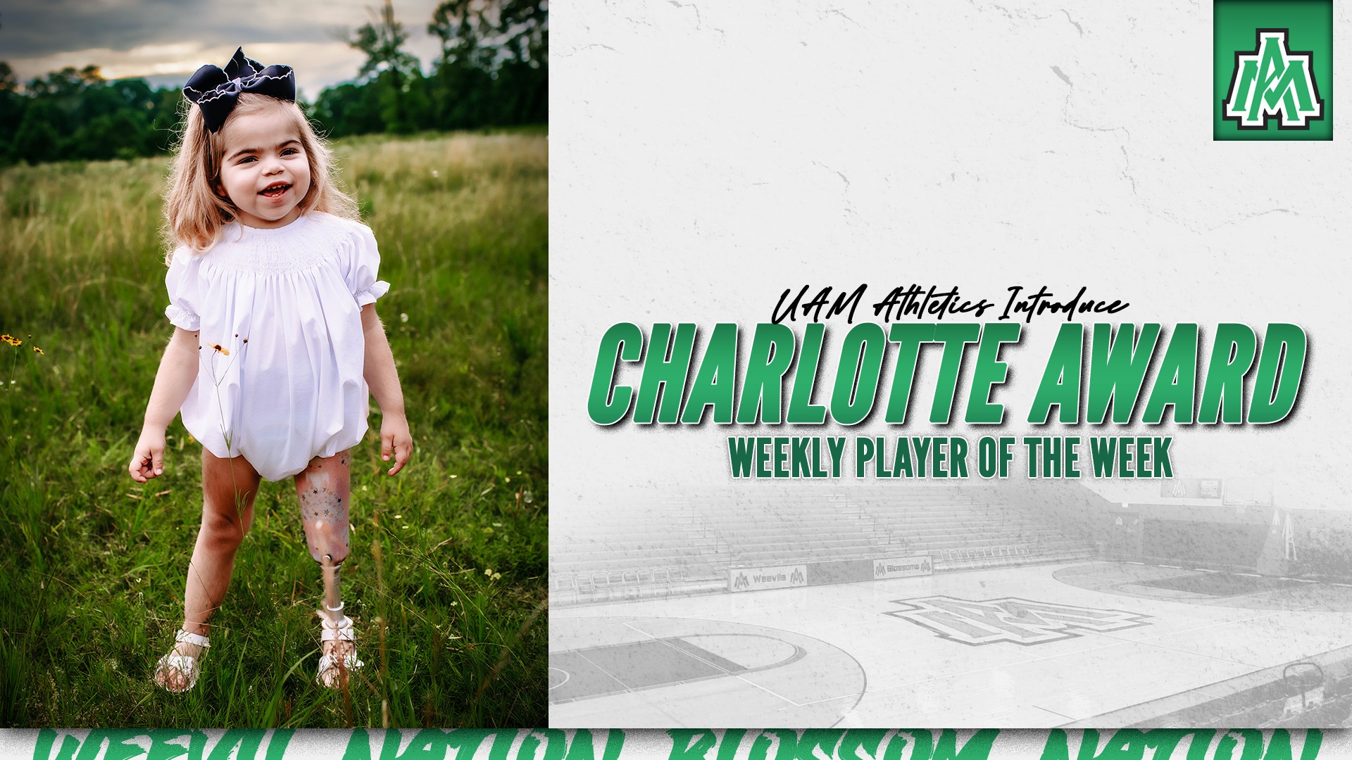 The Charlotte Award