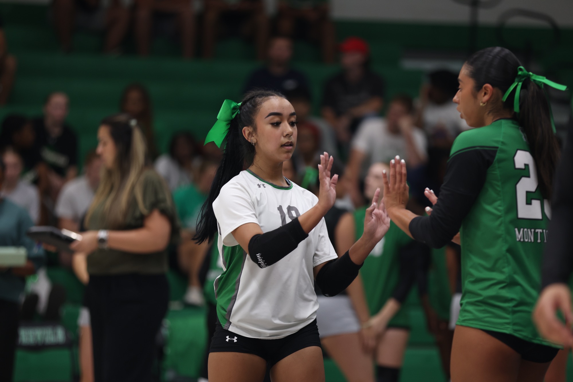 UAM Volleyball Ally Rosa 2026