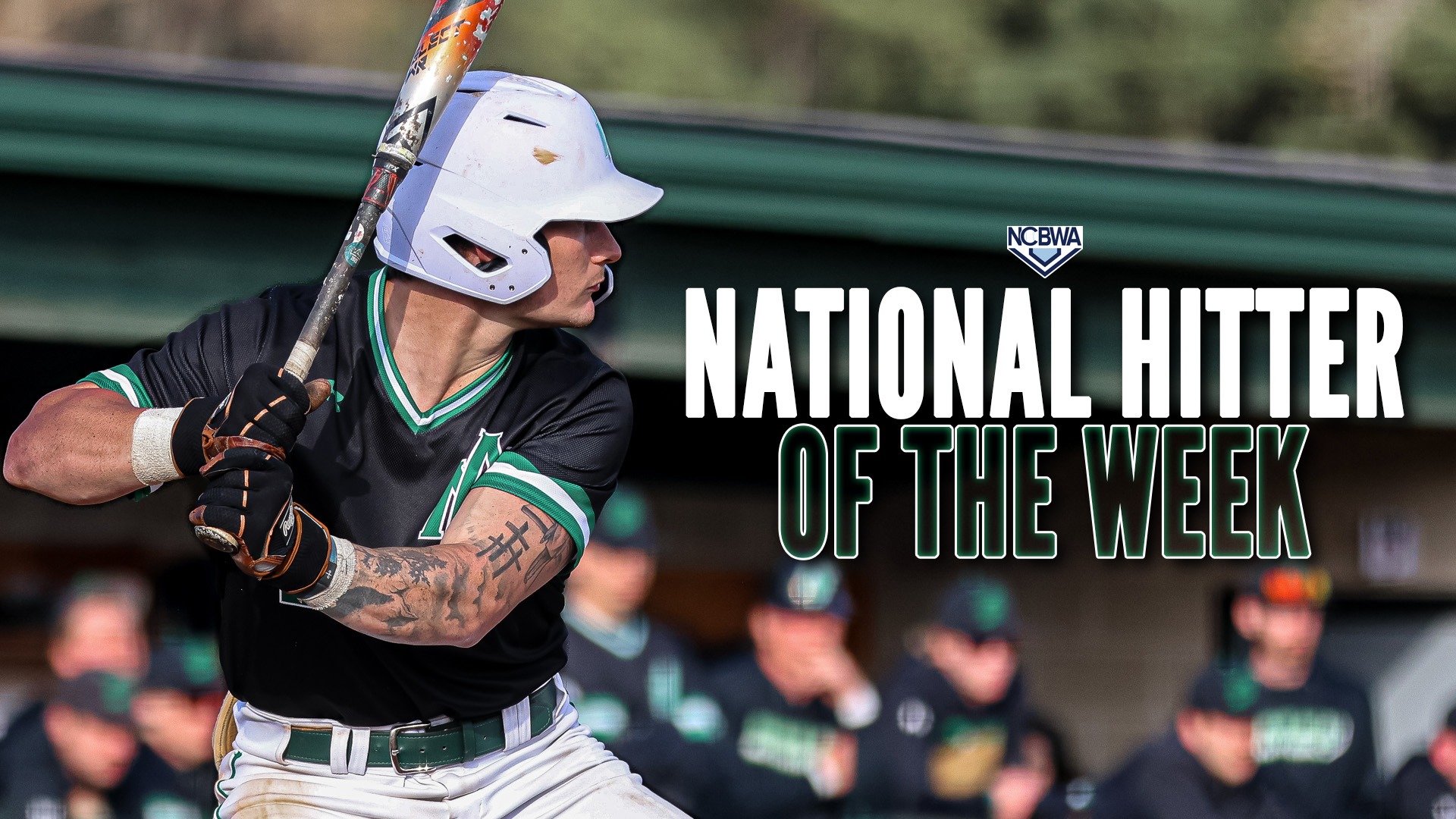 Eli Marvin - NCBWA National Hitter of the Week (Week 4)