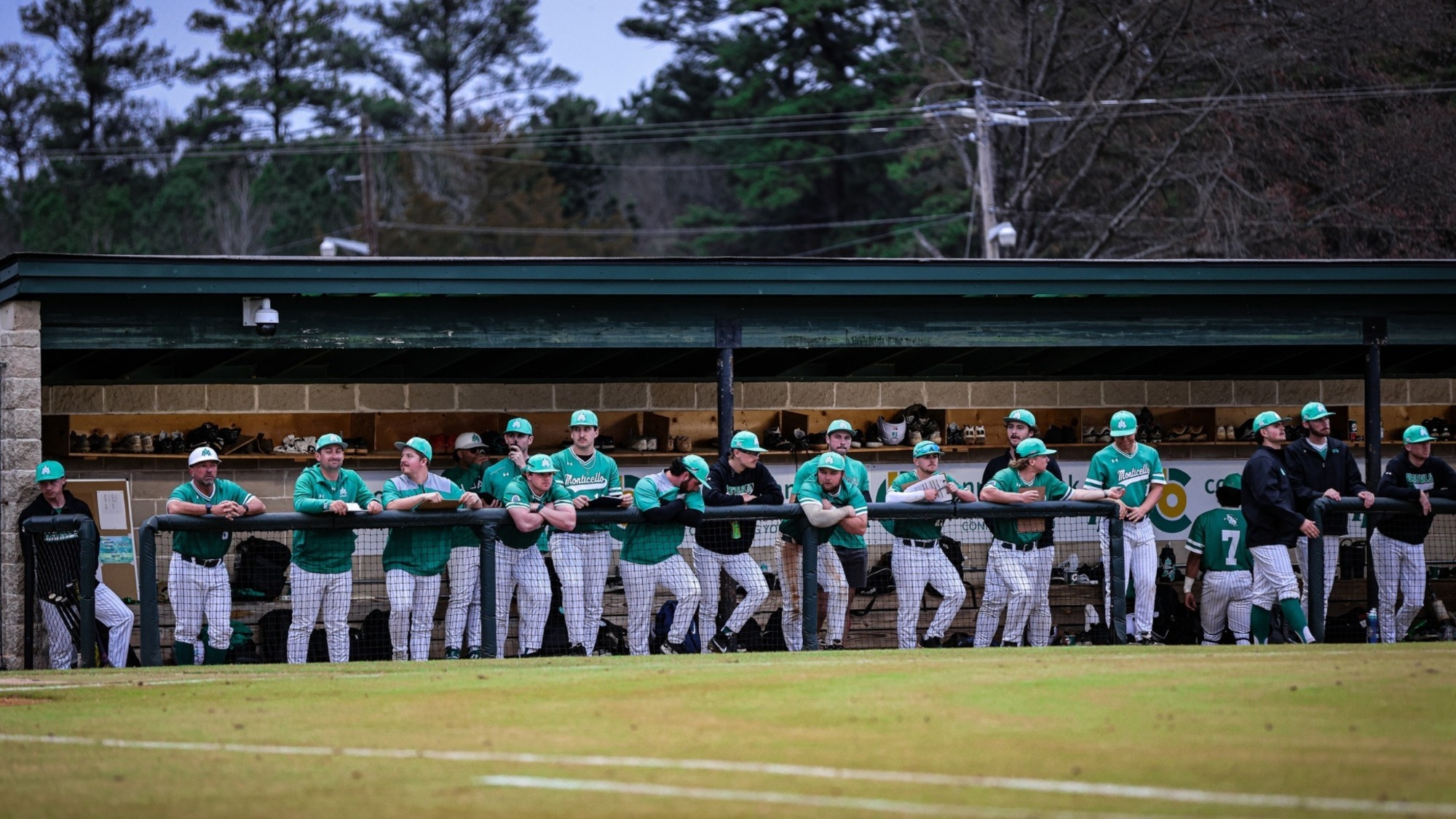 Boll Weevil Baseball vs. Arkansas Tech 2026